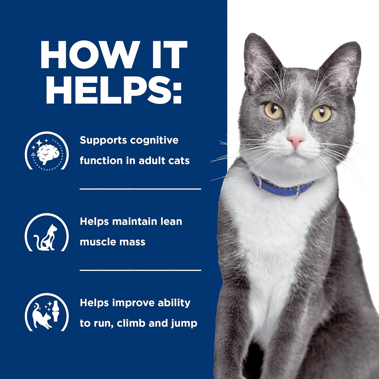 image:imageHills Prescription Diet Brain Care jd Joint Care Wet Cat Food Vegetable amp Tuna Stew 29 oz Cans 24Pack