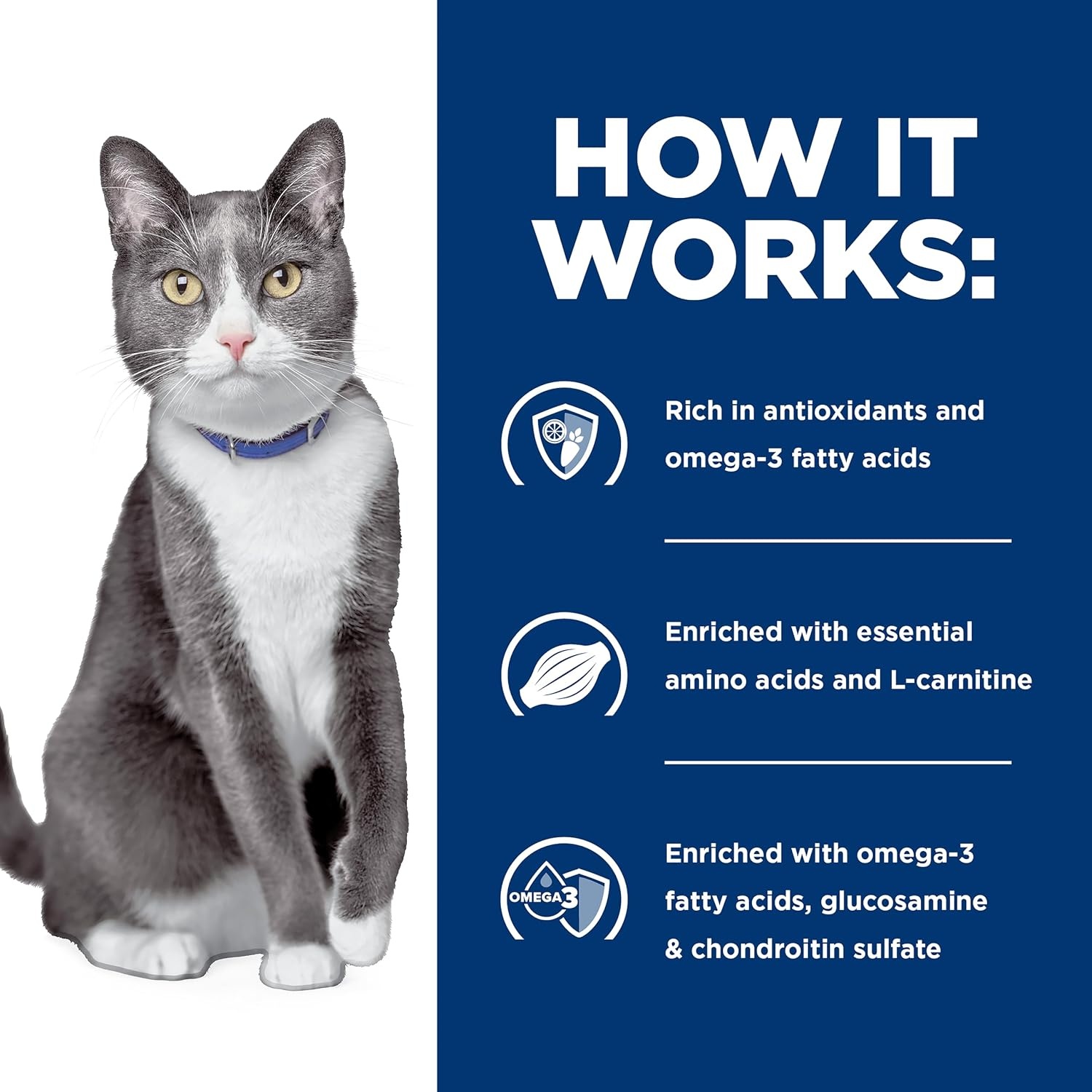 image:imageHills Prescription Diet Brain Care jd Joint Care Wet Cat Food Vegetable amp Tuna Stew 29 oz Cans 24Pack