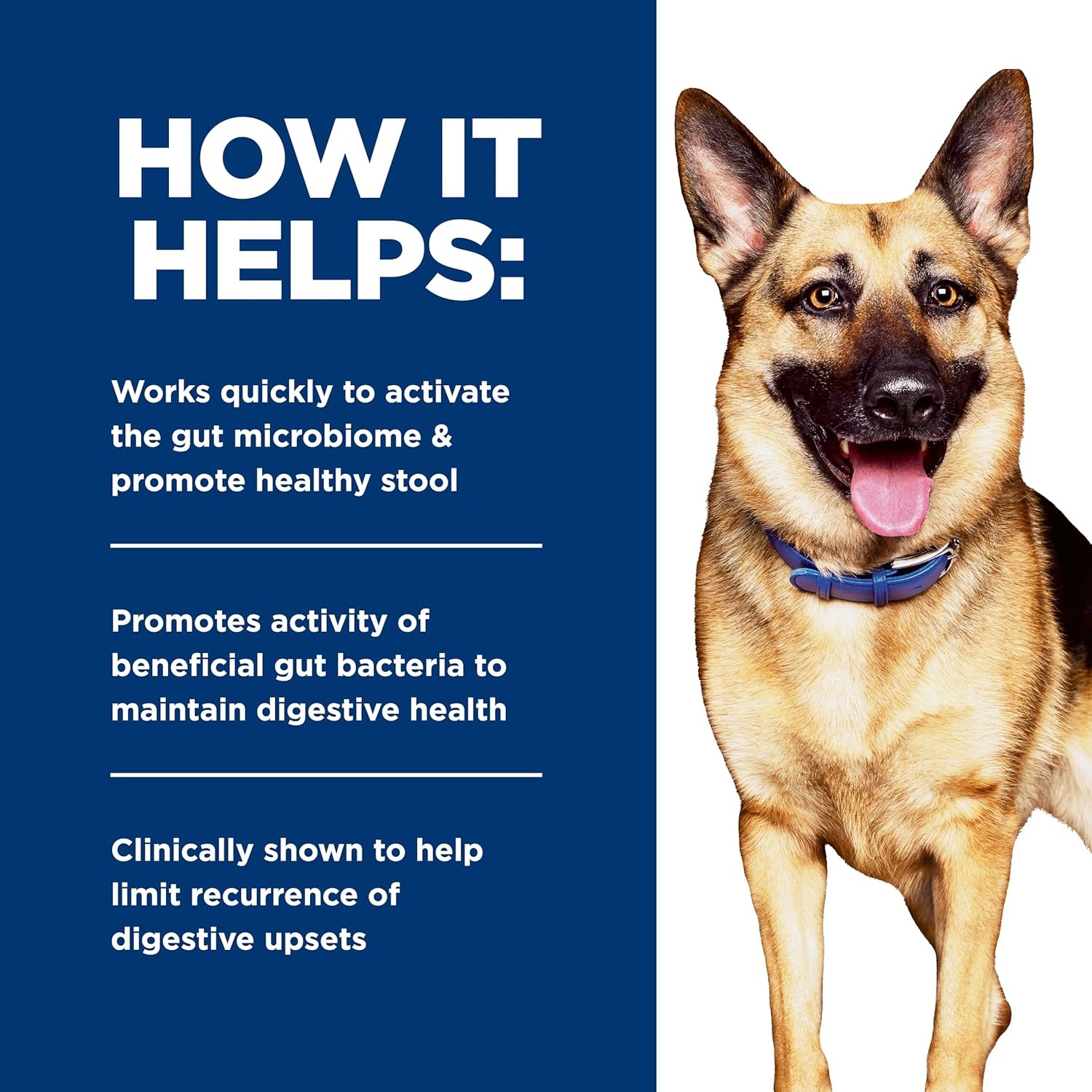 image:imageHills Prescription Diet Gastrointestinal Biome DigestiveFiber Care Dry Dog Food Chicken 275 lb BagChicken