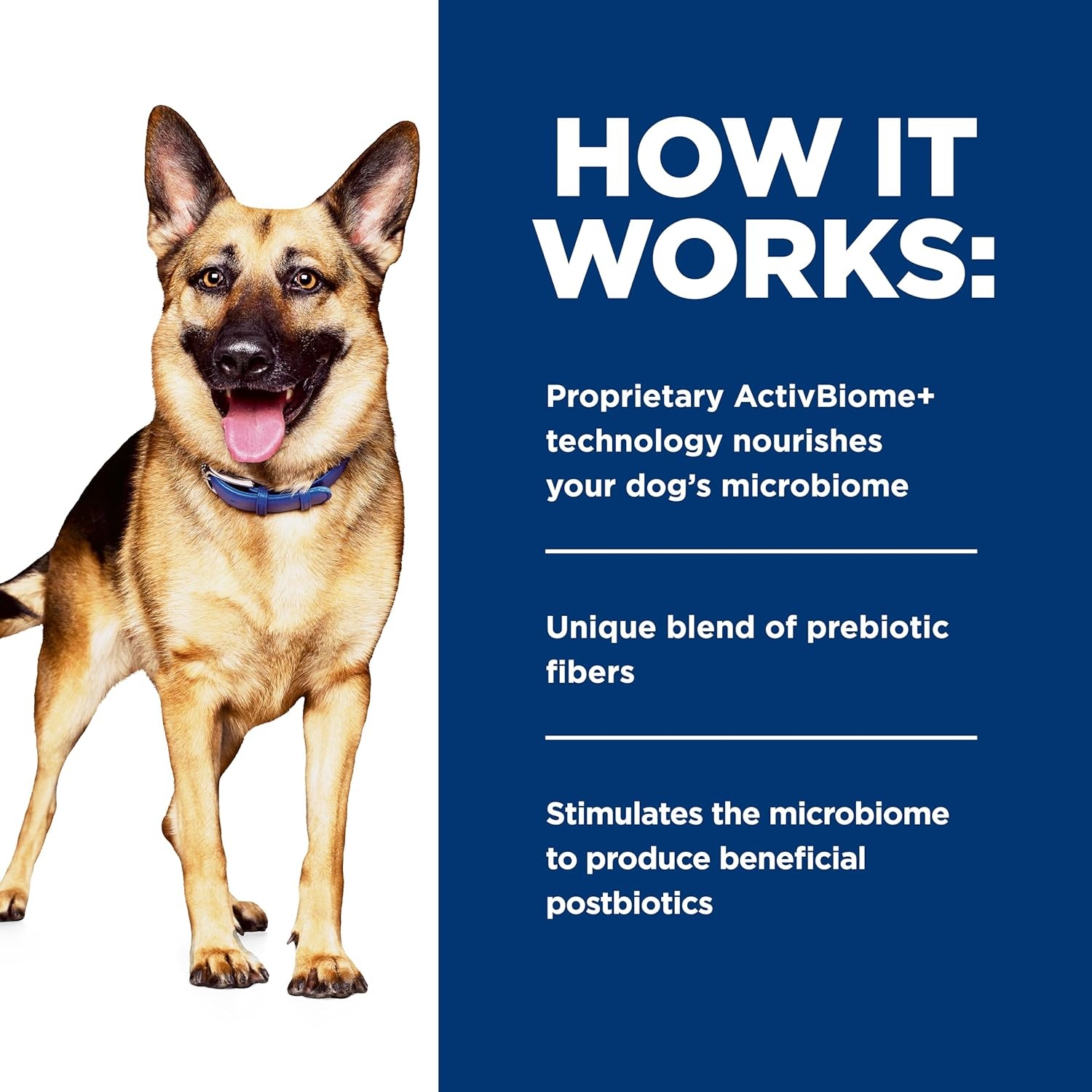image:imageHills Prescription Diet Gastrointestinal Biome DigestiveFiber Care Dry Dog Food Chicken 275 lb BagChicken