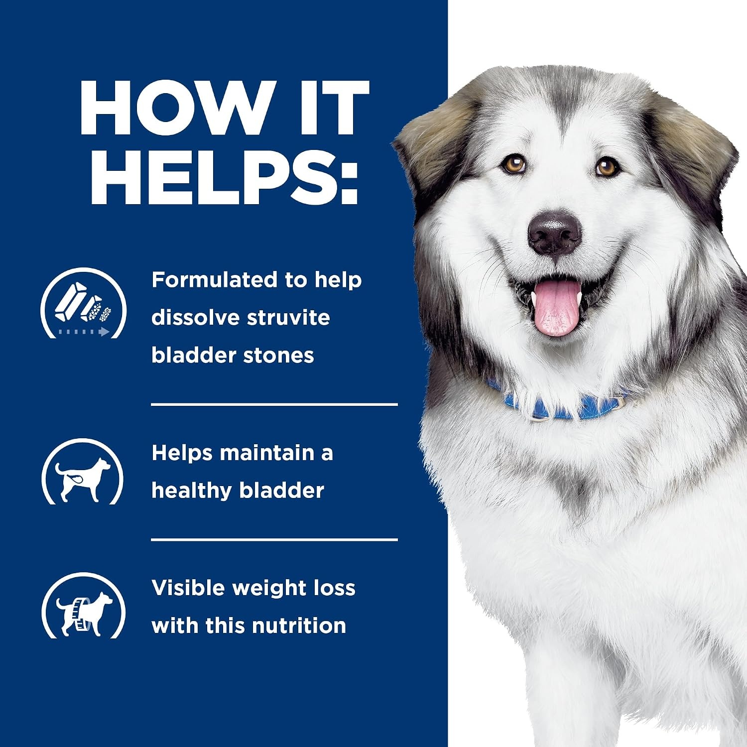 image:imageHills Prescription Diet cd Multicare Metabolic Weight Dry Dog Food Chicken 245 lb BagChicken