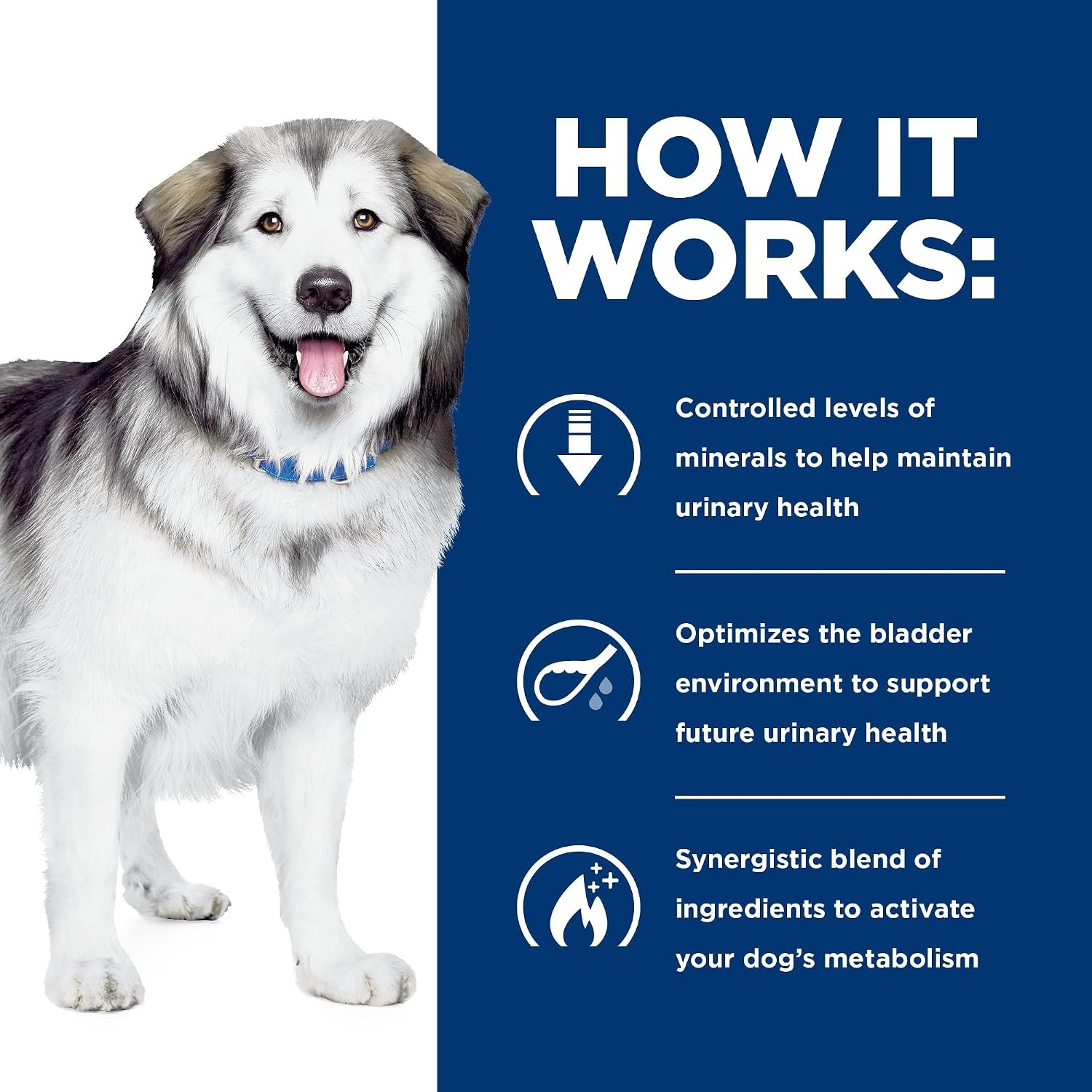 image:imageHills Prescription Diet cd Multicare Metabolic Weight Dry Dog Food Chicken 245 lb BagChicken