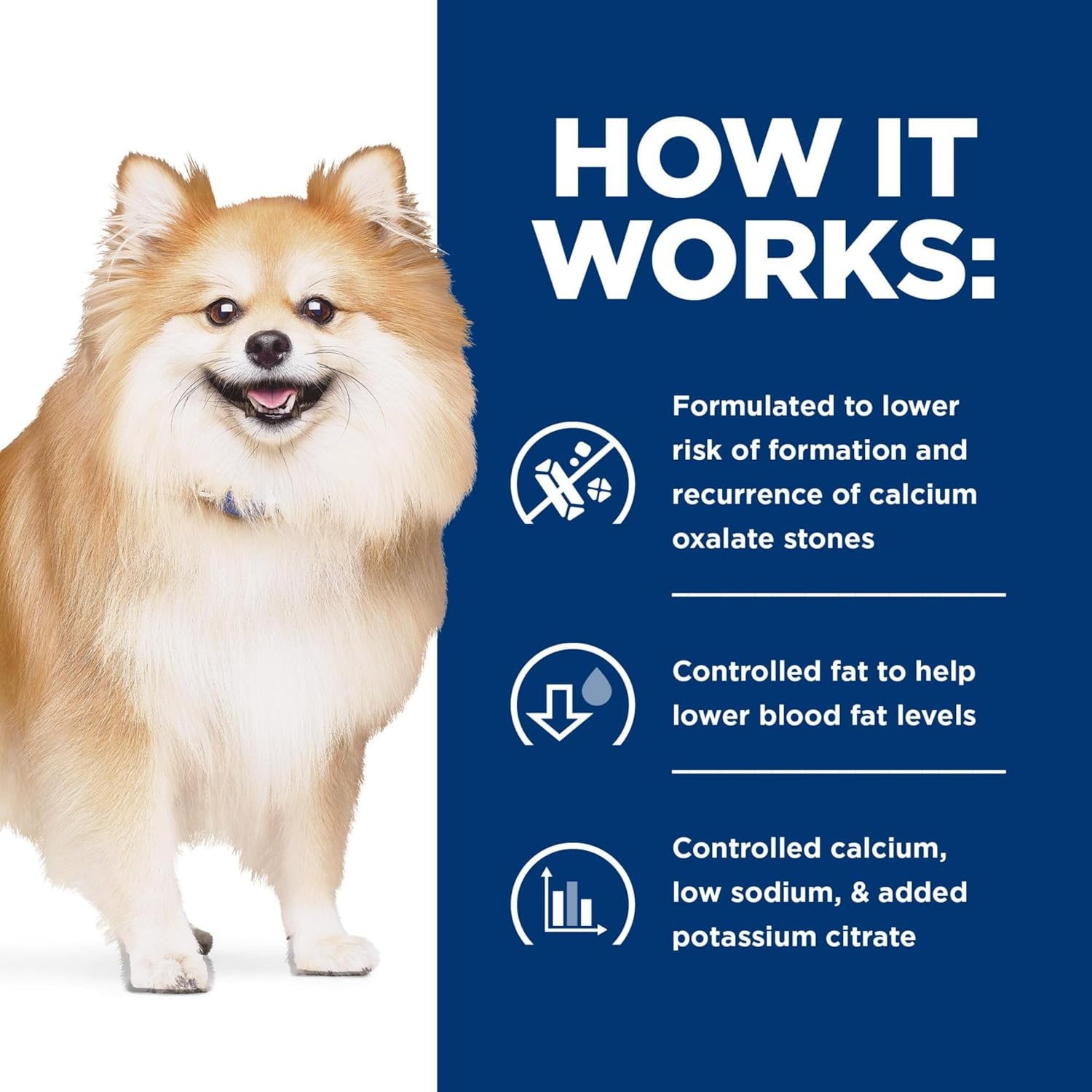 image:imageHills Prescription Diet cd Multicare Low Fat Urinary Care Wet Dog Food Vegetables amp Turkey Stew 125 oz Cans 12Pack