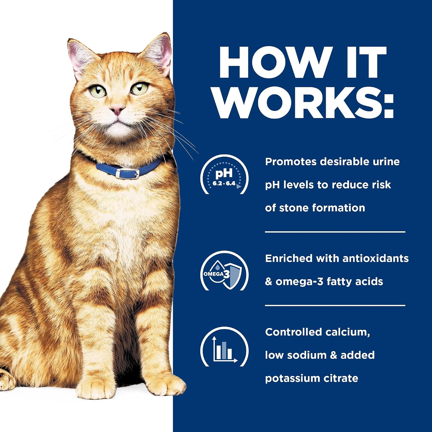 image:imageHills Prescription Diet cd Multicare Urinary Care Dry Cat Food Chicken 4 lb BagChicken