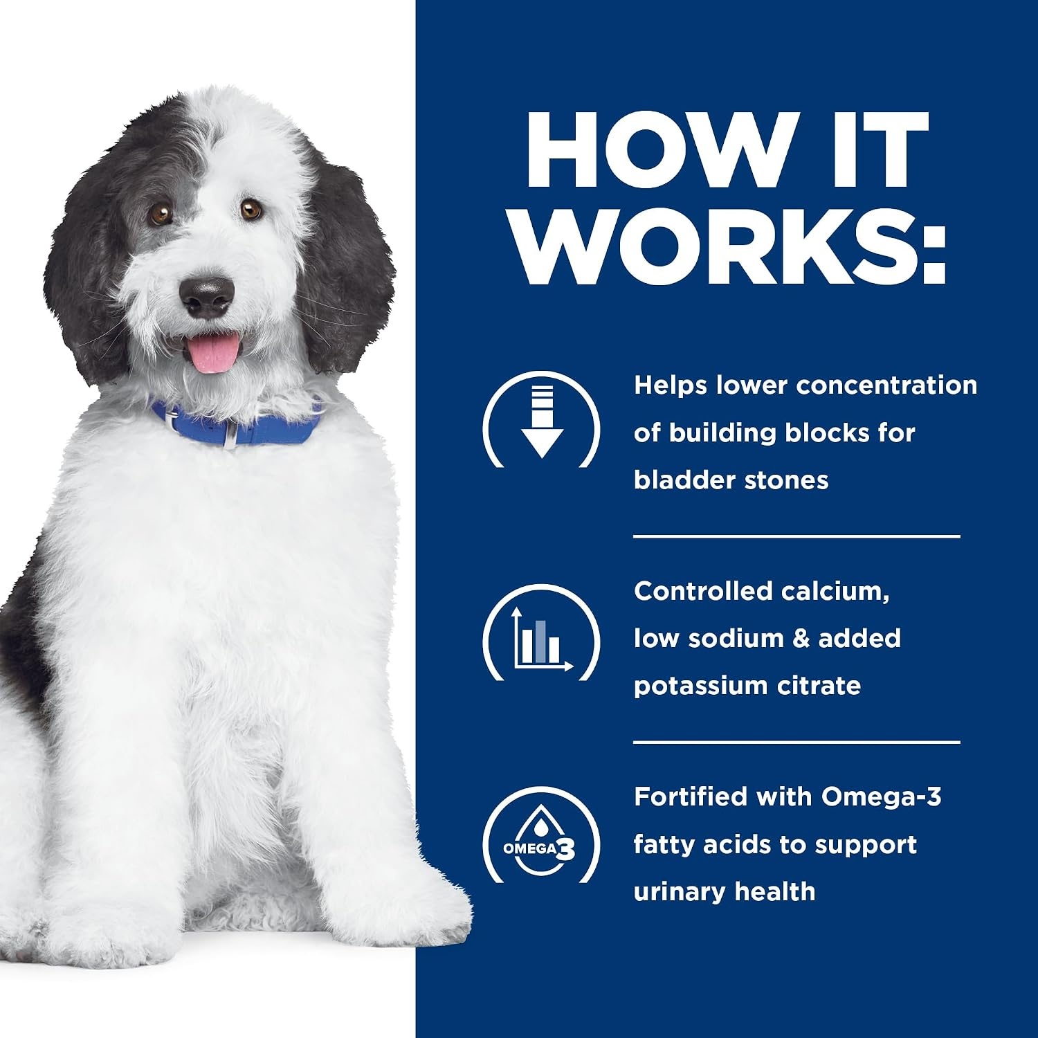 image:imageHills Prescription Diet cd Multicare Urinary Care Dry Dog Food Chicken 176 lb BagChicken