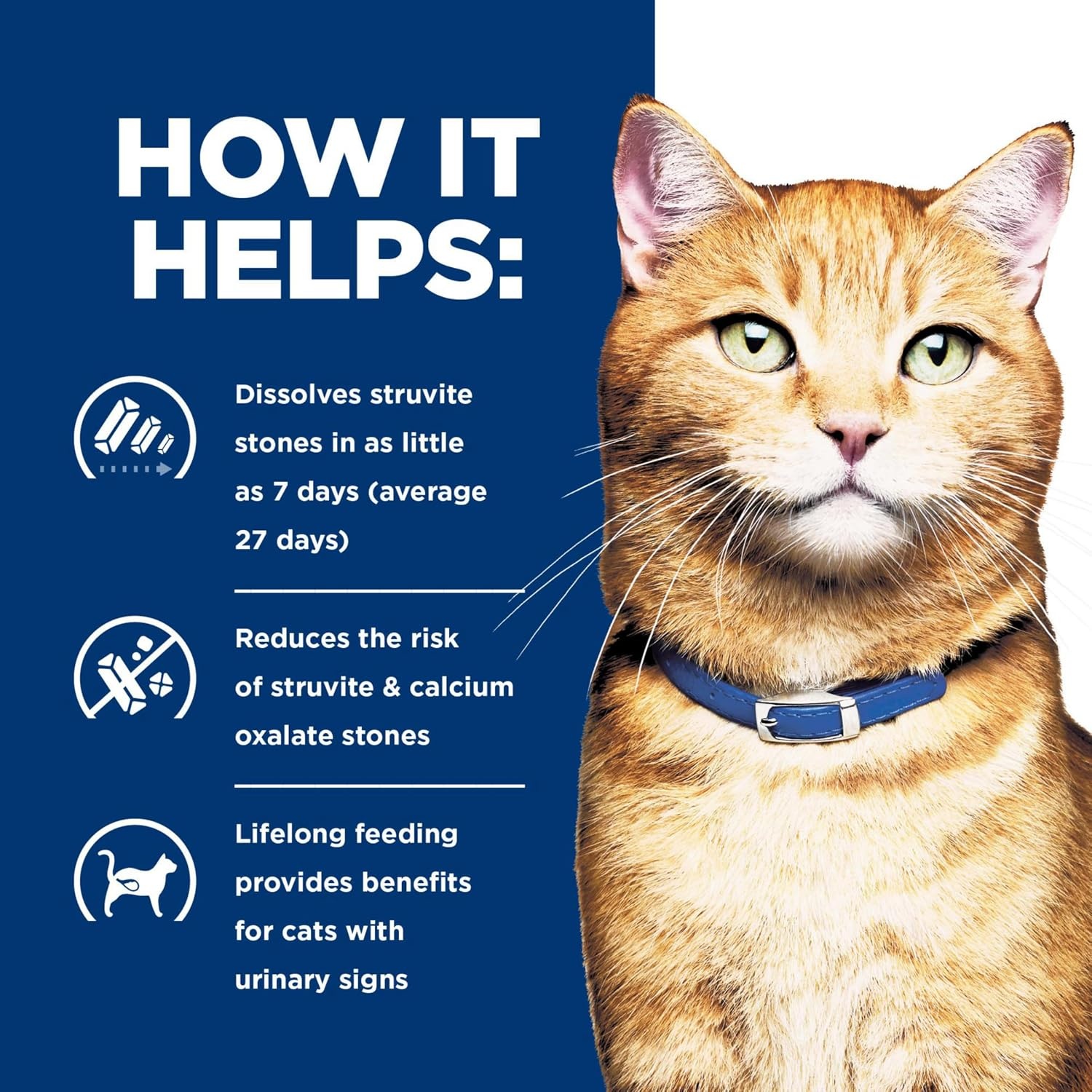 image:imageHills Prescription Diet cd Multicare Urinary Care Wet Cat Food Chicken amp Vegetable Stew 29 oz Cans 24PackChicken