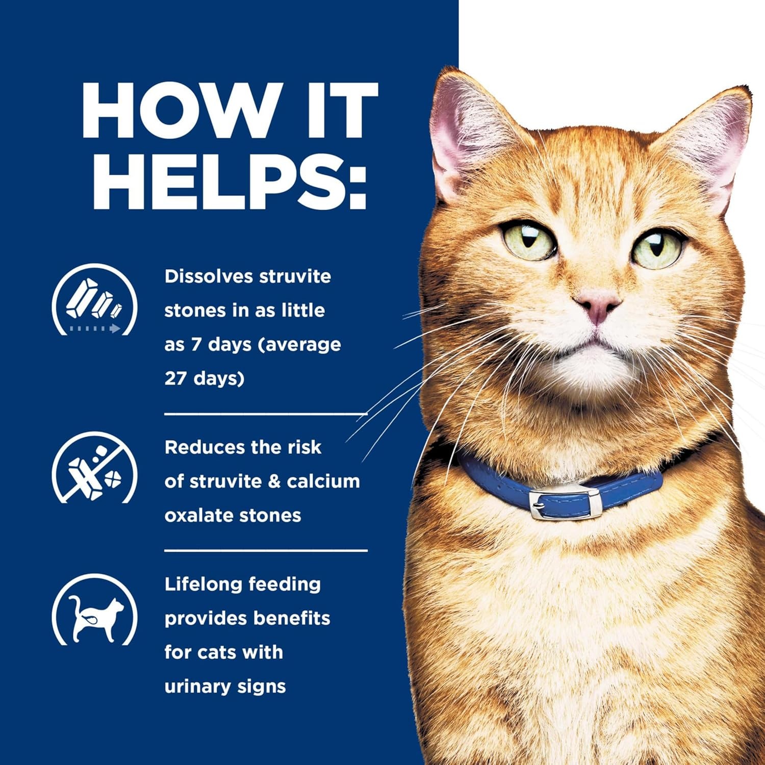 image:imageHills Prescription Diet cd Multicare Urinary Care Wet Cat Food Chicken amp Vegetable Stew 29 oz Cans 24PackOcean Fish