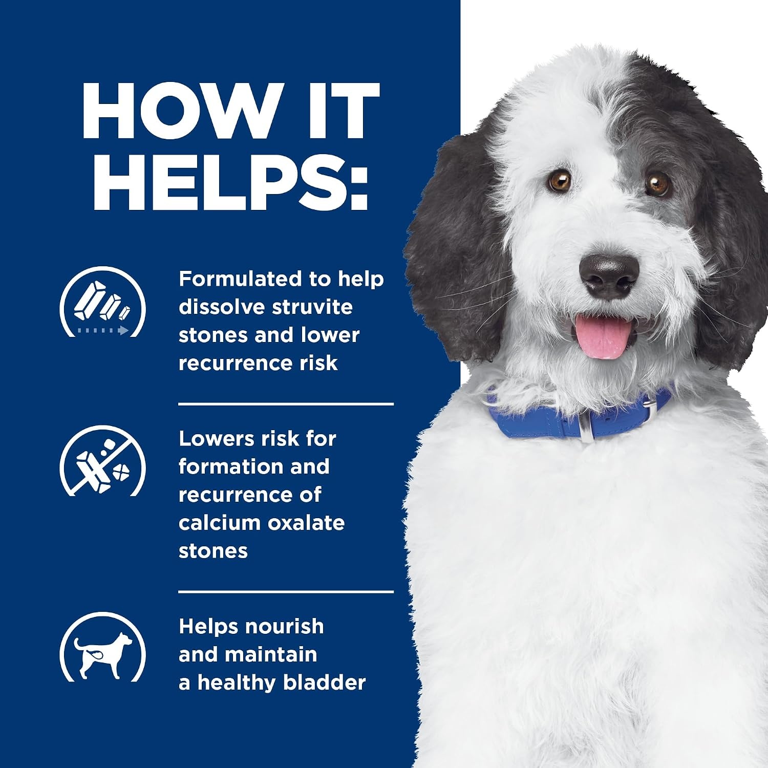 image:imageHills Prescription Diet cd Multicare Urinary Care Wet Dog Food Chicken amp Vegetable Stew 125 oz Cans 12PackChicken Vegetable Stew