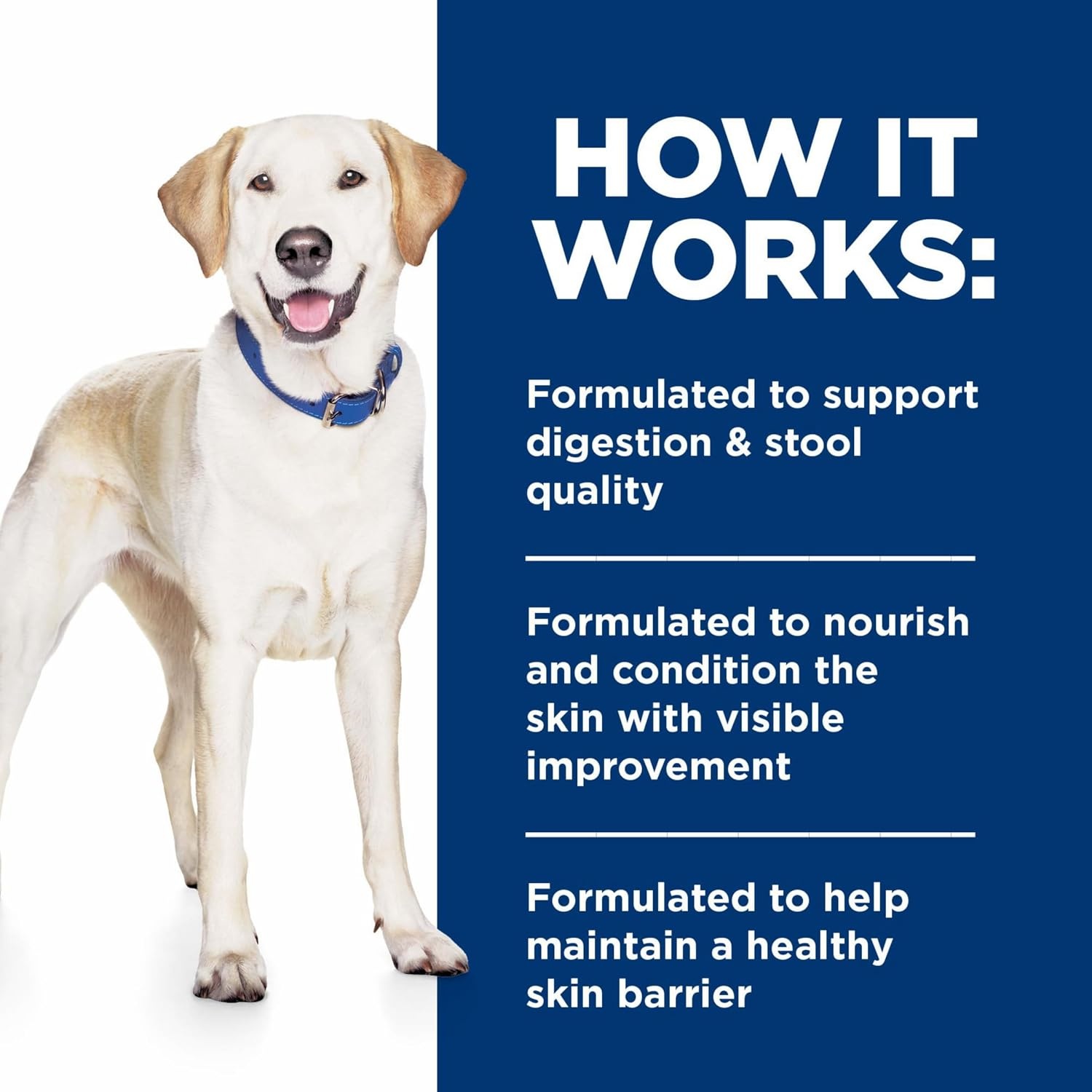 image:imageHills Prescription Diet dd Food Sensitivities Wet Dog Food Duck 13 oz Cans 12PackDuck