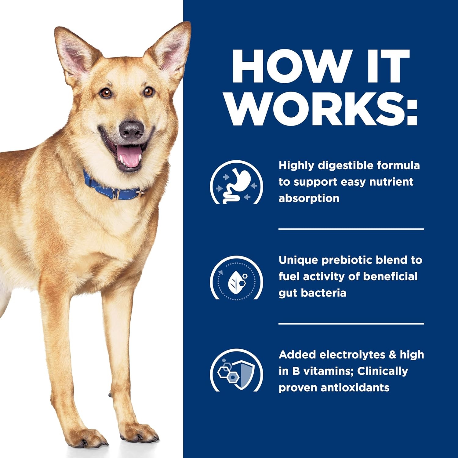 image:imageHills Prescription Diet id Digestive Care Chicken Flavor Dry Dog Food Veterinary Diet 275 lb BagChicken Regular Bites