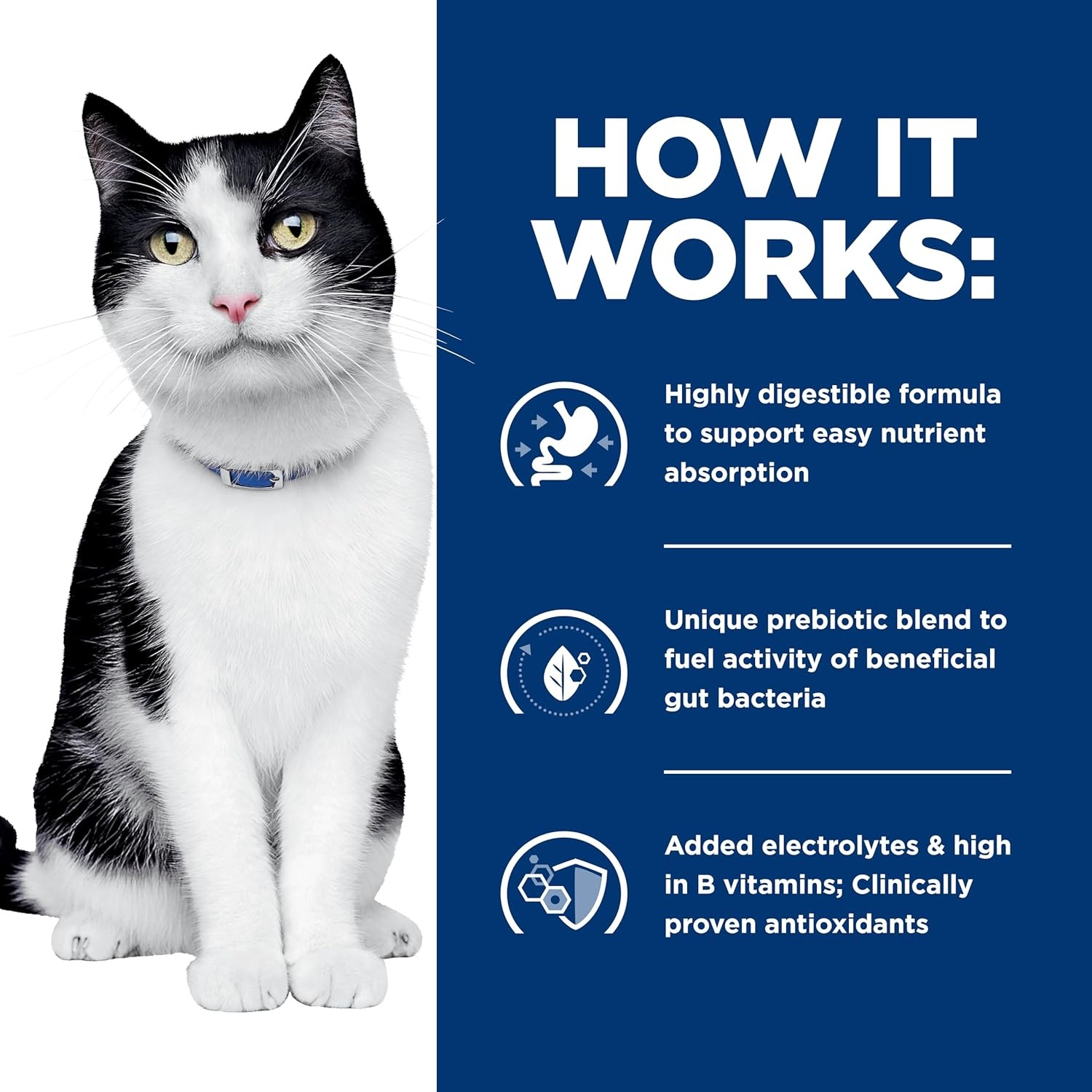 image:imageHills Prescription Diet id Digestive Care Dry Cat Food Chicken 85 lb BagChicken
