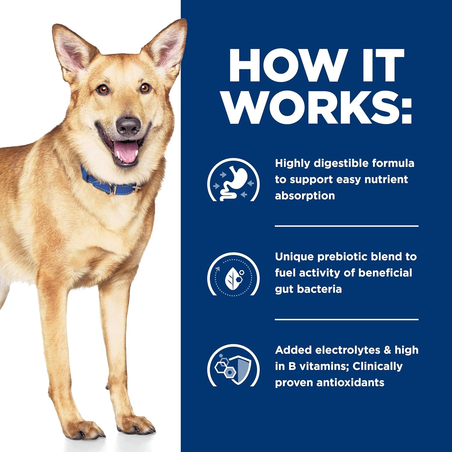 image:imageHills Prescription Diet id Digestive Care Wet Dog Food Chicken amp Vegetable Stew 125 oz Cans 12PackTurkey