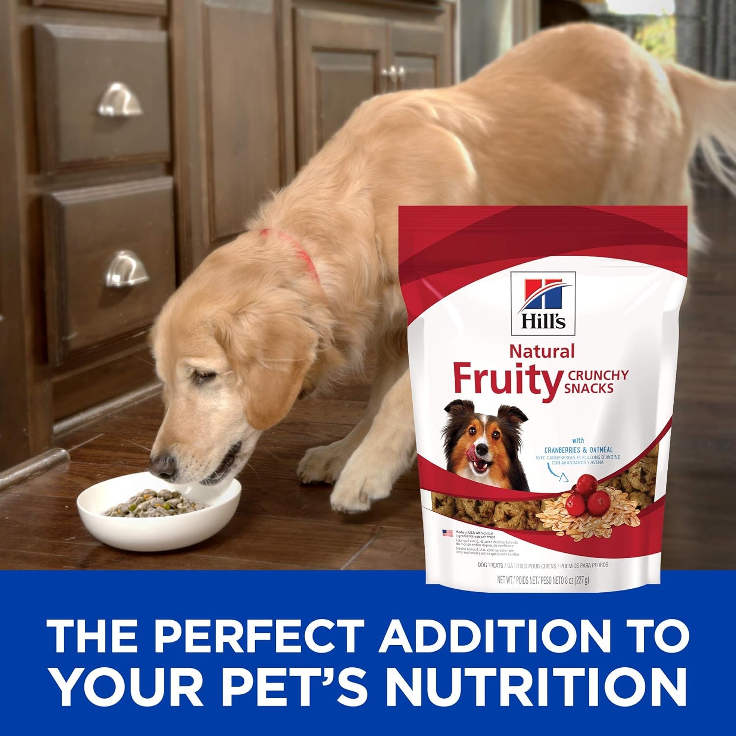 image:imageHills Natural Fruity Snacks Crunchy Dog Treats Cranberries amp Oatmeal 8 oz BagCranberries Oatmeal