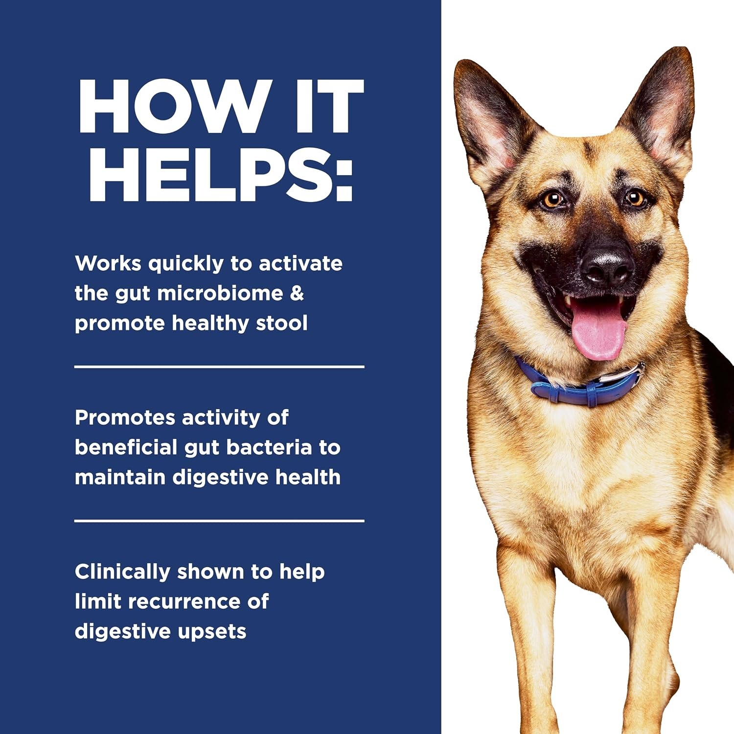 image:imageHills Prescription Diet Gastrointestinal Biome Wet Dog Food Chicken amp Carrot Stew 28 oz Pouches 24Pack