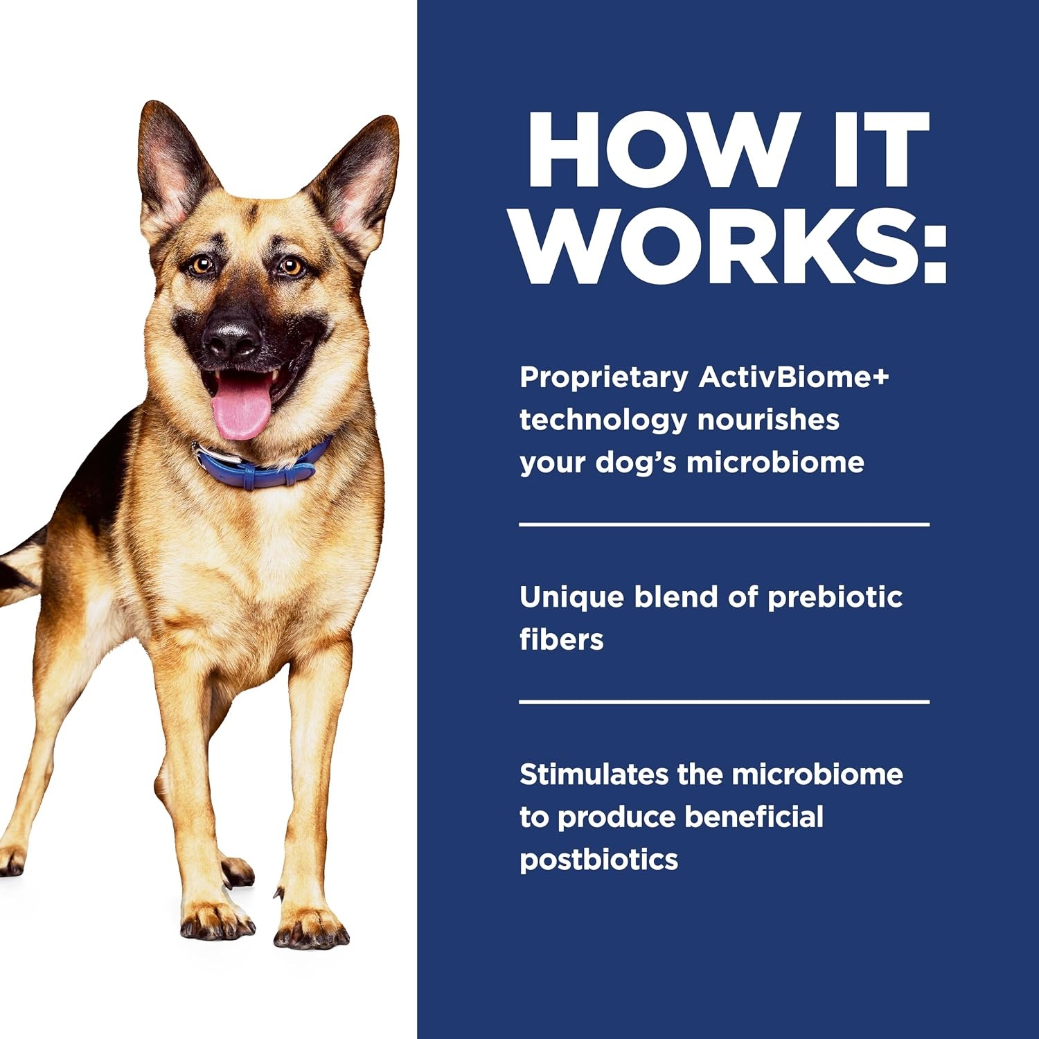 image:imageHills Prescription Diet Gastrointestinal Biome Wet Dog Food Chicken amp Carrot Stew 28 oz Pouches 24Pack