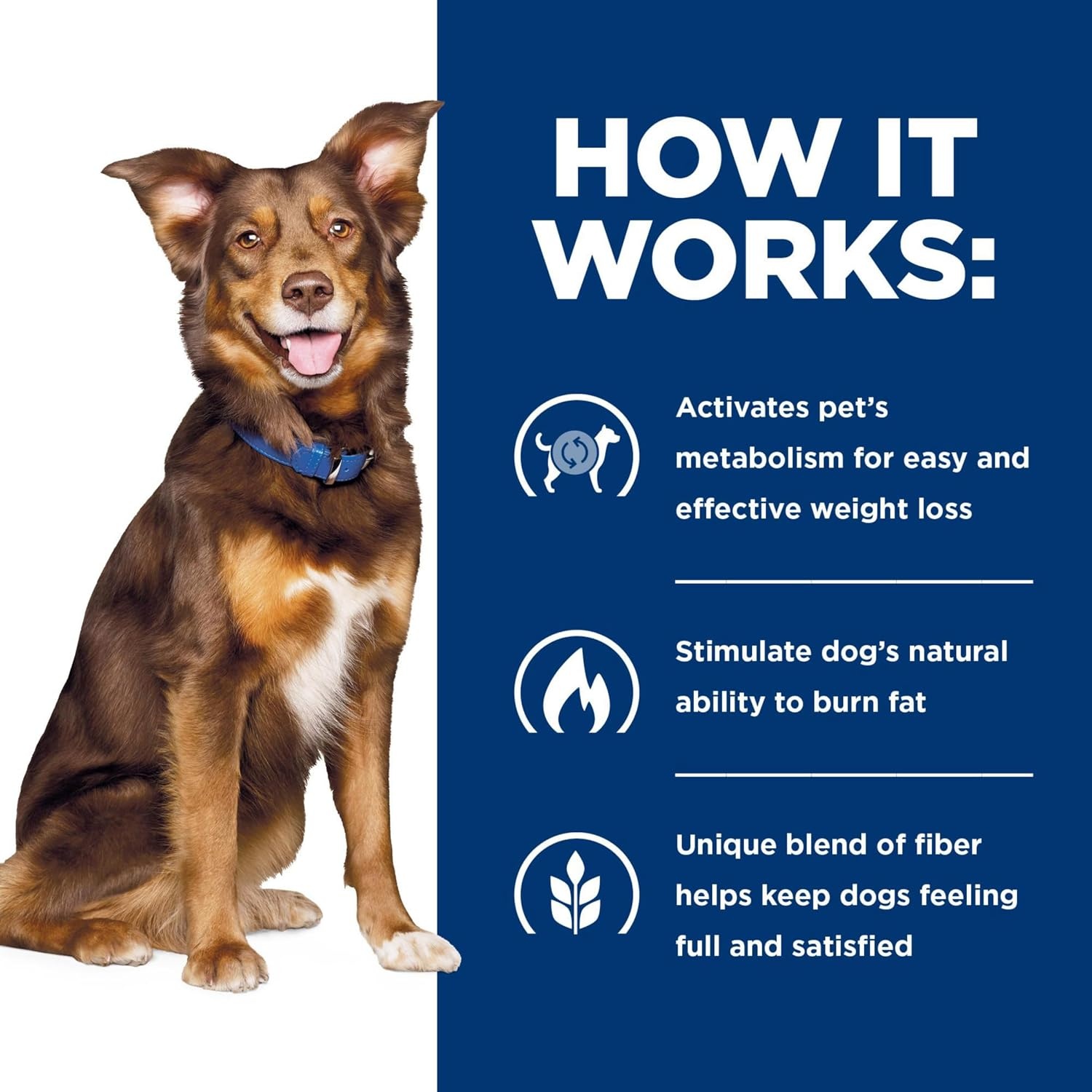 image:imageHills Prescription Diet Metabolic Weight Management Wet Dog Food Vegetable amp Beef Stew 125 oz Cans 12PackChicken