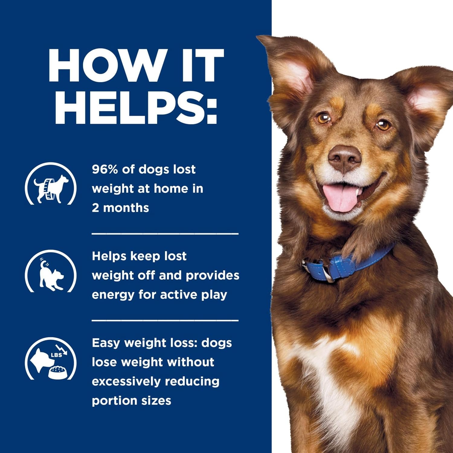 image:imageHills Prescription Diet Metabolic Weight Management Wet Dog Food Vegetable amp Beef Stew 125 oz Cans 12PackVegetable Beef Stew