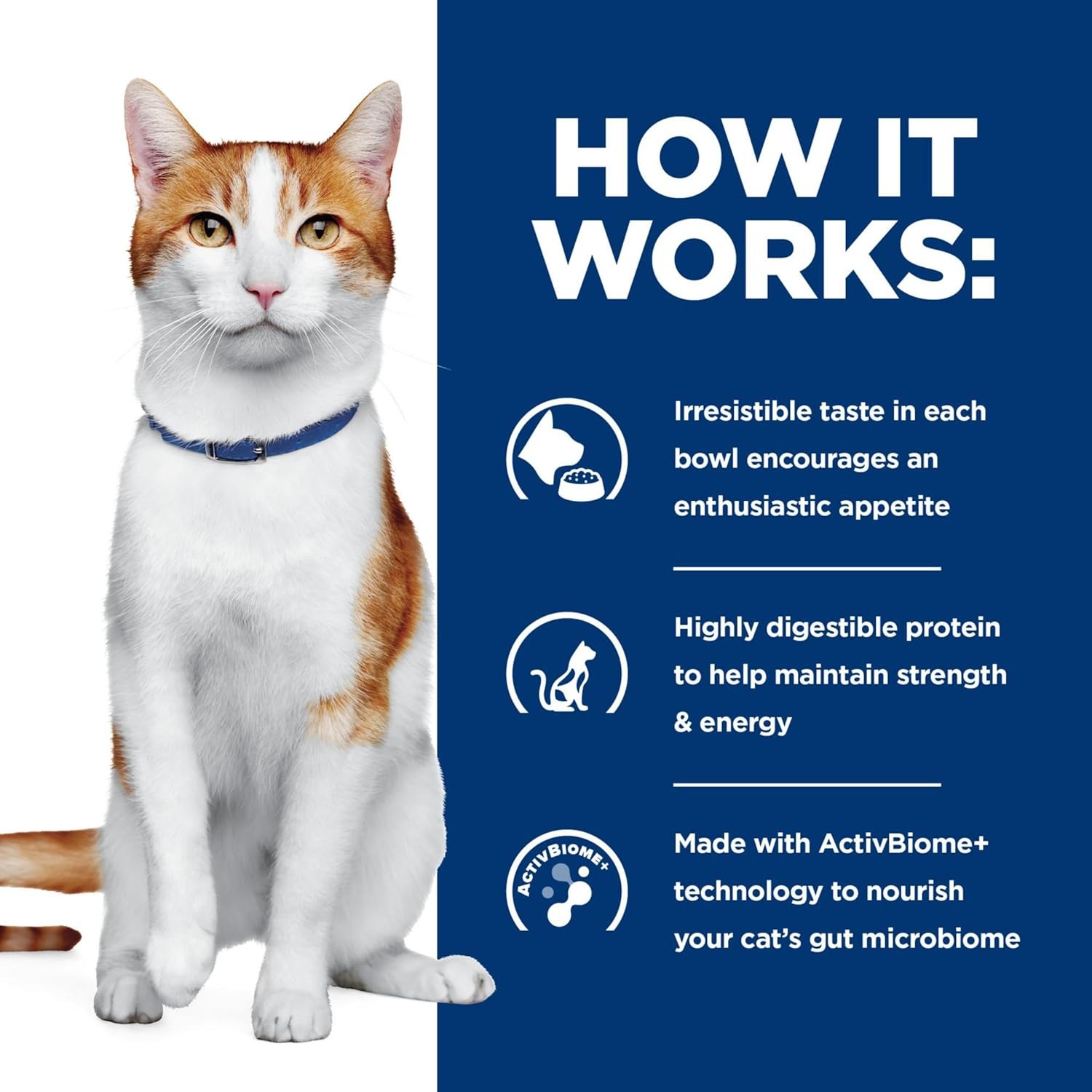 image:imageHills Prescription Diet ONC Care Wet Cat Food Chicken amp Vegetable Stew Veterinary Diet 29 oz Cans 24Pack
