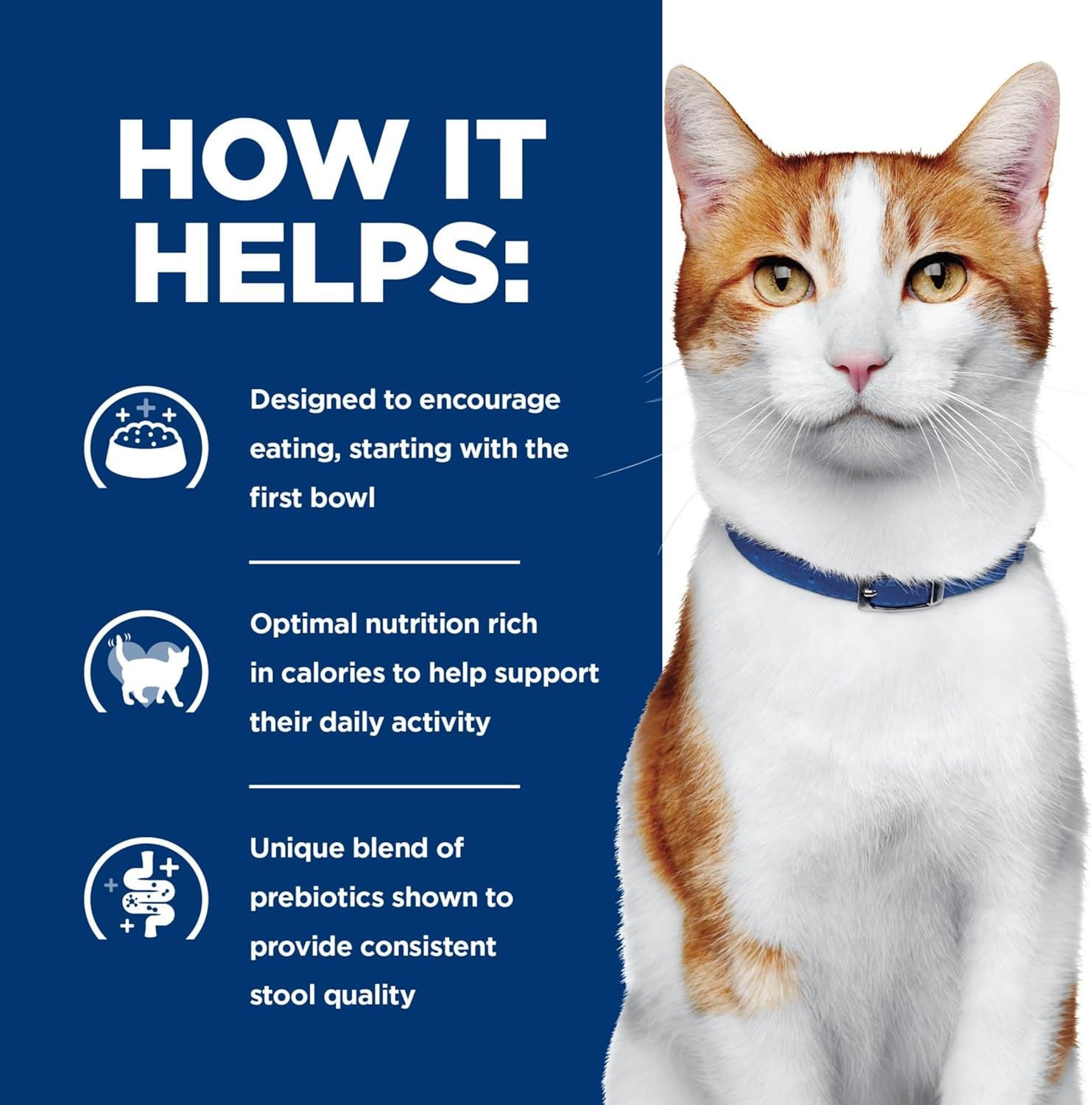 image:imageHills Prescription Diet ONC Care Wet Cat Food Chicken amp Vegetable Stew Veterinary Diet 29 oz Cans 24Pack
