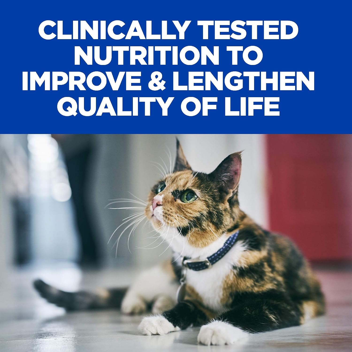 image:imageHills Prescription Diet kd Early Support Kidney Care Chicken Flavor Dry Cat Food Veterinary Diet 85 lb BagChicken