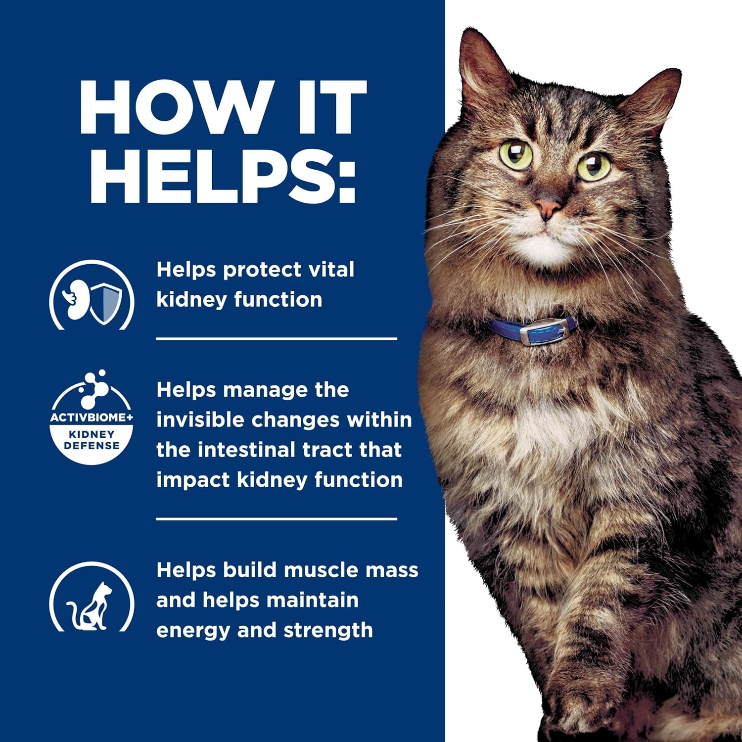 image:imageHills Prescription Diet kd Early Support Kidney Care Chicken Flavor Dry Cat Food Veterinary Diet 85 lb BagChicken