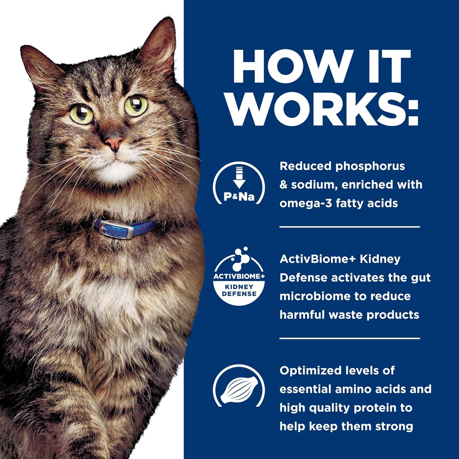 image:imageHills Prescription Diet kd Early Support Kidney Care Chicken Flavor Dry Cat Food Veterinary Diet 85 lb BagChicken