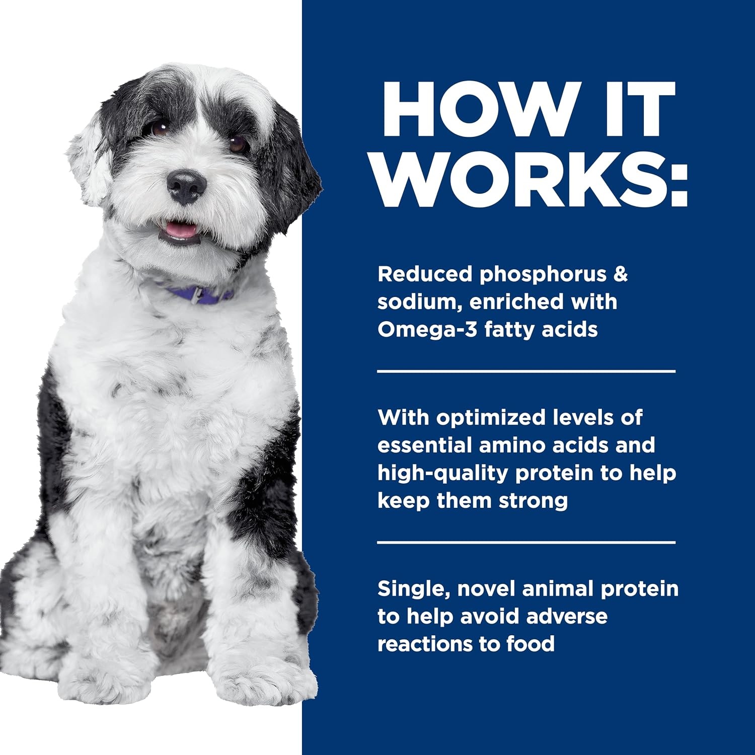image:imageHills Prescription Diet kd Kidney Care Derm Complete Rice amp Egg Entree Dry Dog Food Veterinary Diet 143 lb Bag