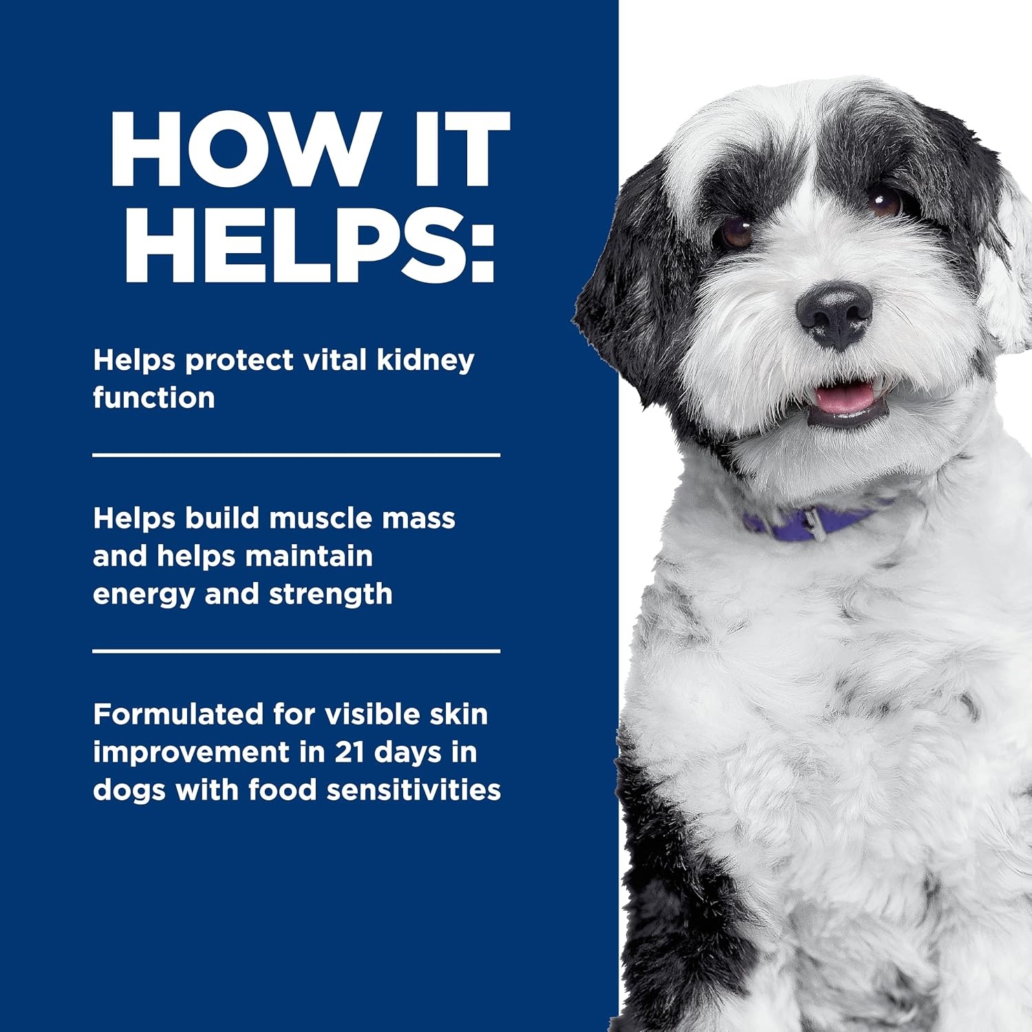 image:imageHills Prescription Diet kd Kidney Care Derm Complete Rice amp Egg Entree Dry Dog Food Veterinary Diet 143 lb Bag