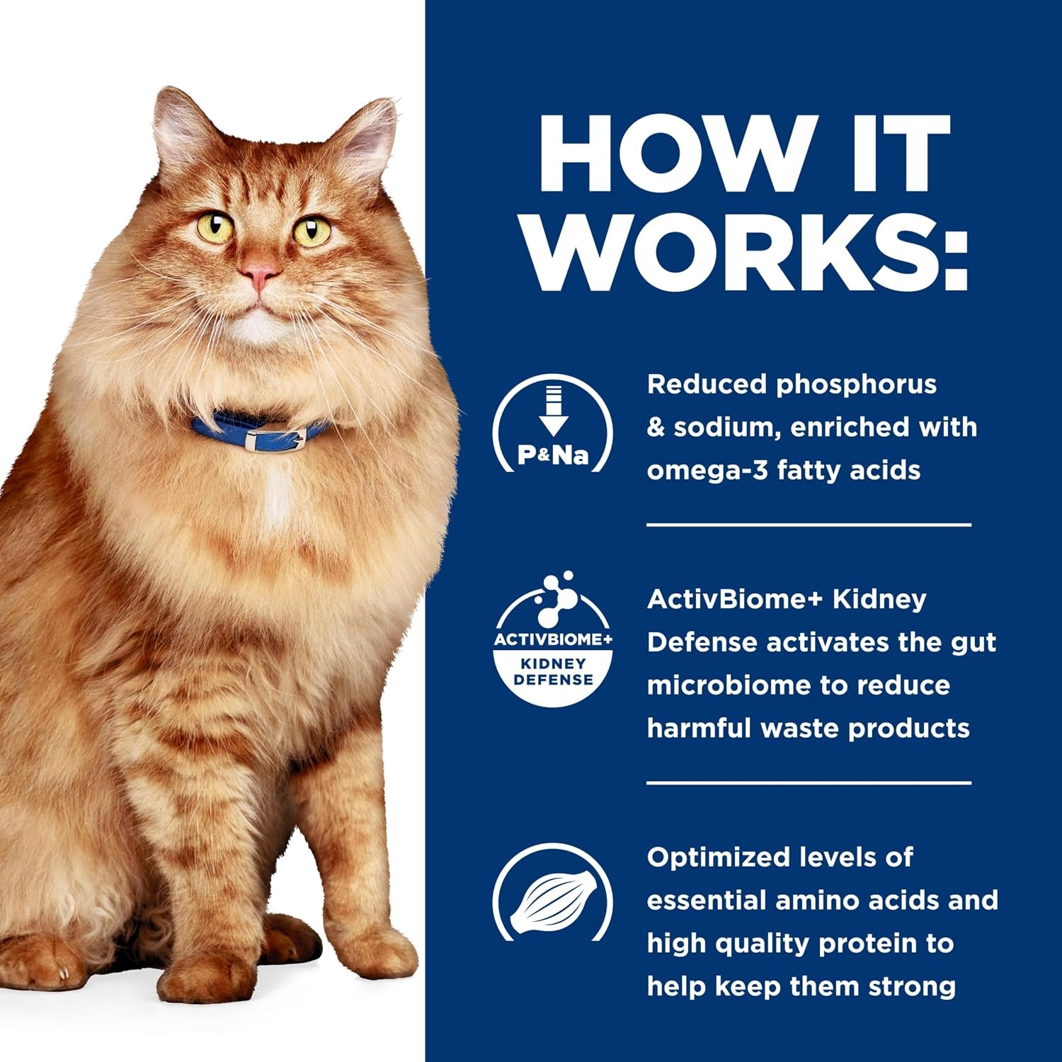 image:imageHills Prescription Diet kd Kidney Care jd Mobility Care Dry Cat Food Chicken 635 lb Bag