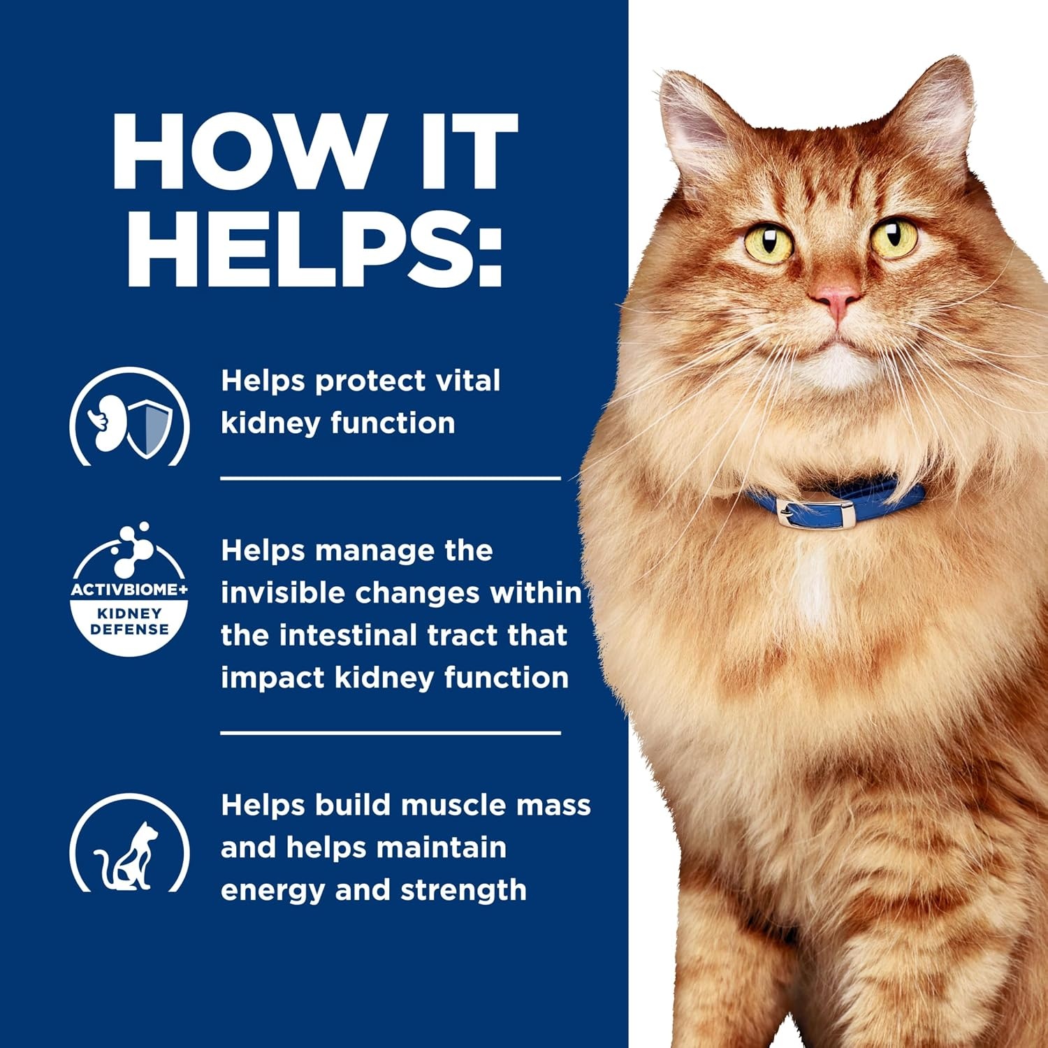 image:imageHills Prescription Diet kd Kidney Care jd Mobility Care Dry Cat Food Chicken 635 lb Bag