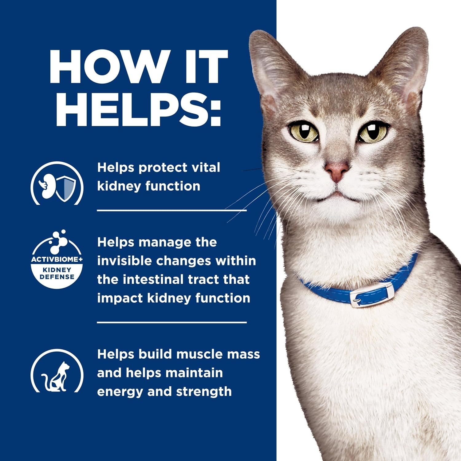 image:imageHills Prescription Diet kd Kidney Care Dry Cat Food Chicken 85 lb BagSeafood