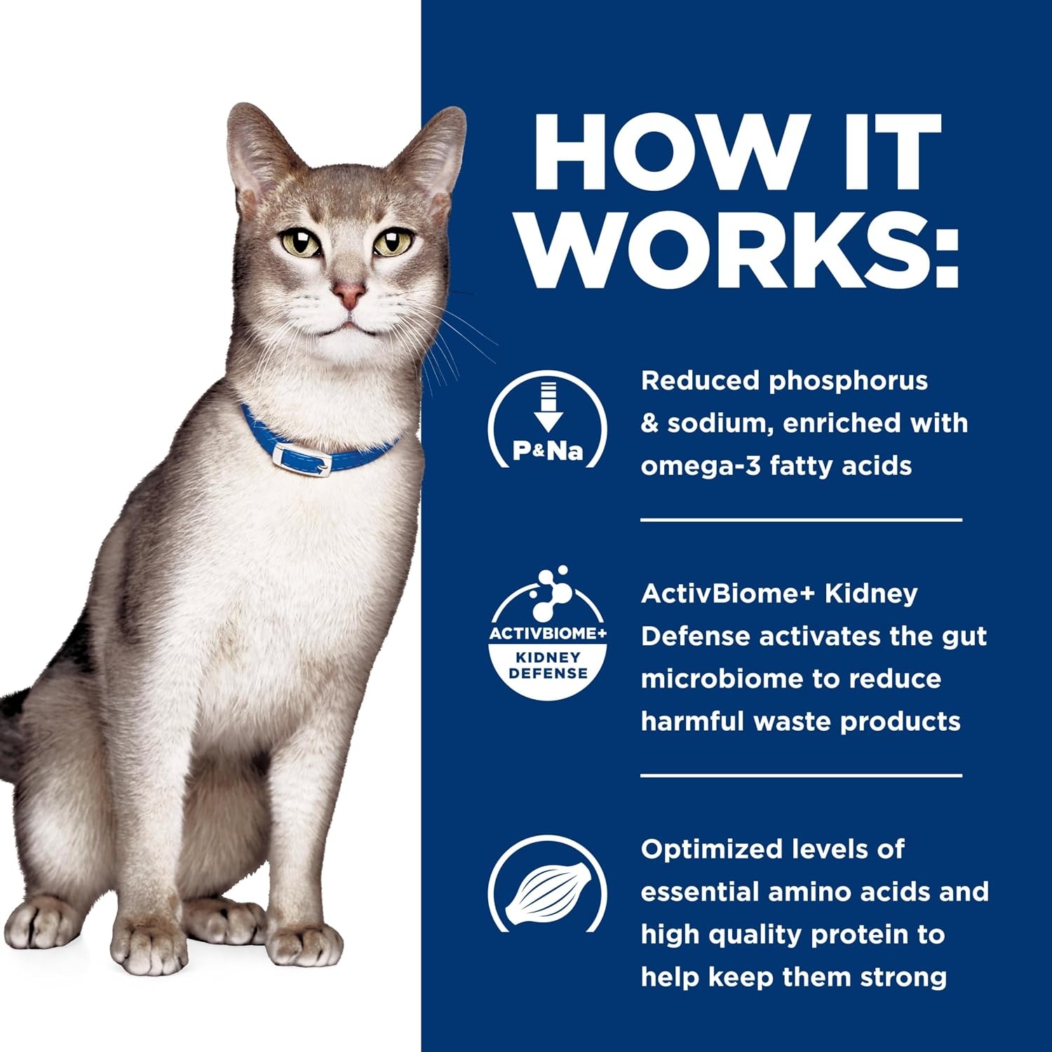 image:imageHills Prescription Diet kd Kidney Care Dry Cat Food Chicken 85 lb BagSeafood
