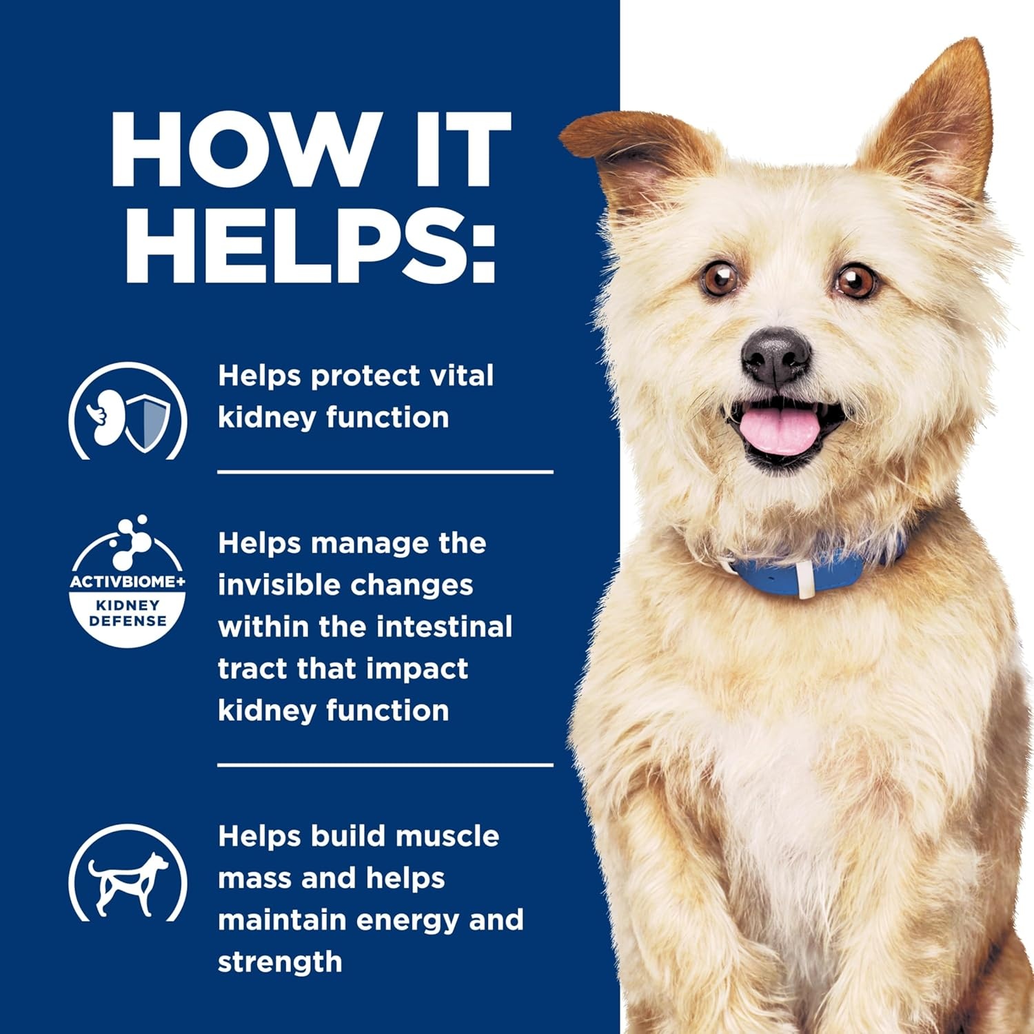 image:imageHills Prescription Diet kd Kidney Care Dry Dog Food Chicken 275 lb BagChicken