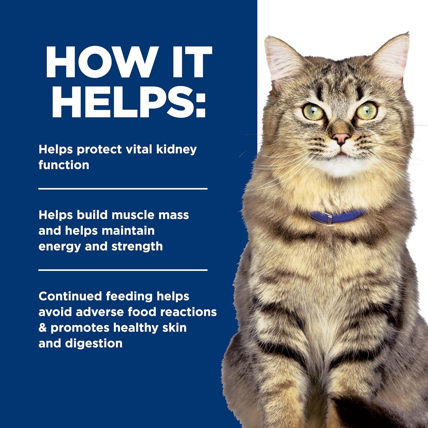 image:imageHills Prescription Diet kd Kidney Care Hydrolyzed Chicken Flavor Dry Cat Food Veterinary Diet 85 lb Bag