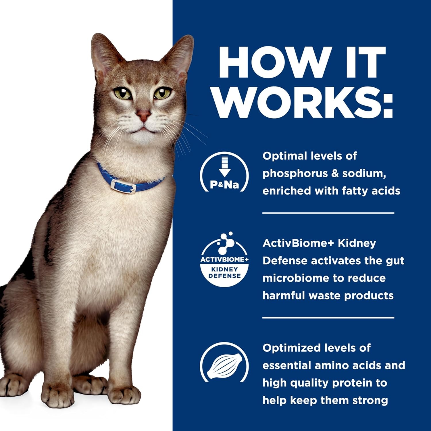 image:imageHills Prescription Diet kd Kidney Care Wet Cat Food Chicken amp Vegetable Stew 29 oz Cans 24PackStarter Kit