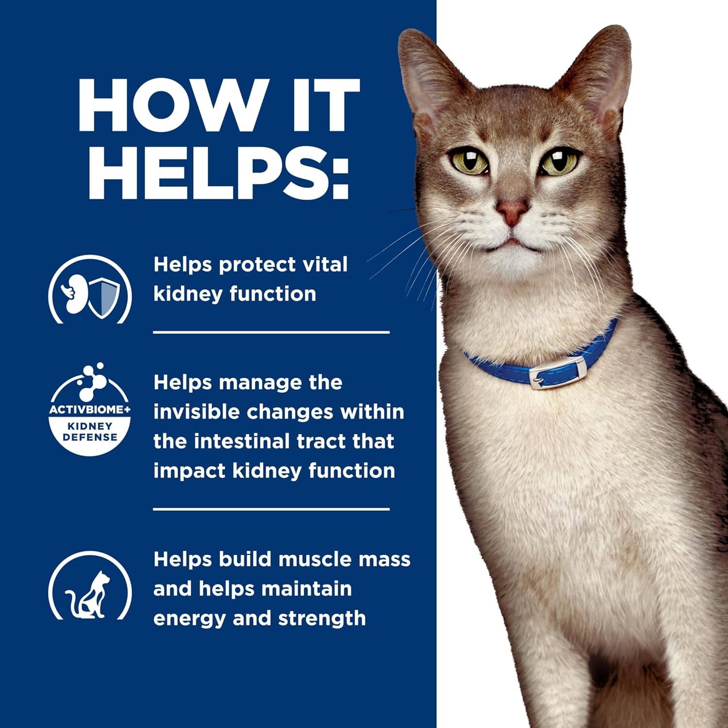 image:imageHills Prescription Diet kd Kidney Care Wet Cat Food Chicken amp Vegetable Stew 29 oz Cans 24PackStarter Kit