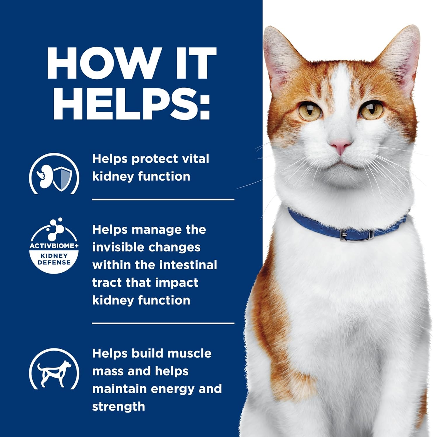 image:imageHills Prescription Diet kd Kidney Care Wet Cat Food Chicken amp Vegetable Stew 29 oz Cans 24PackVegetable Tuna Stew