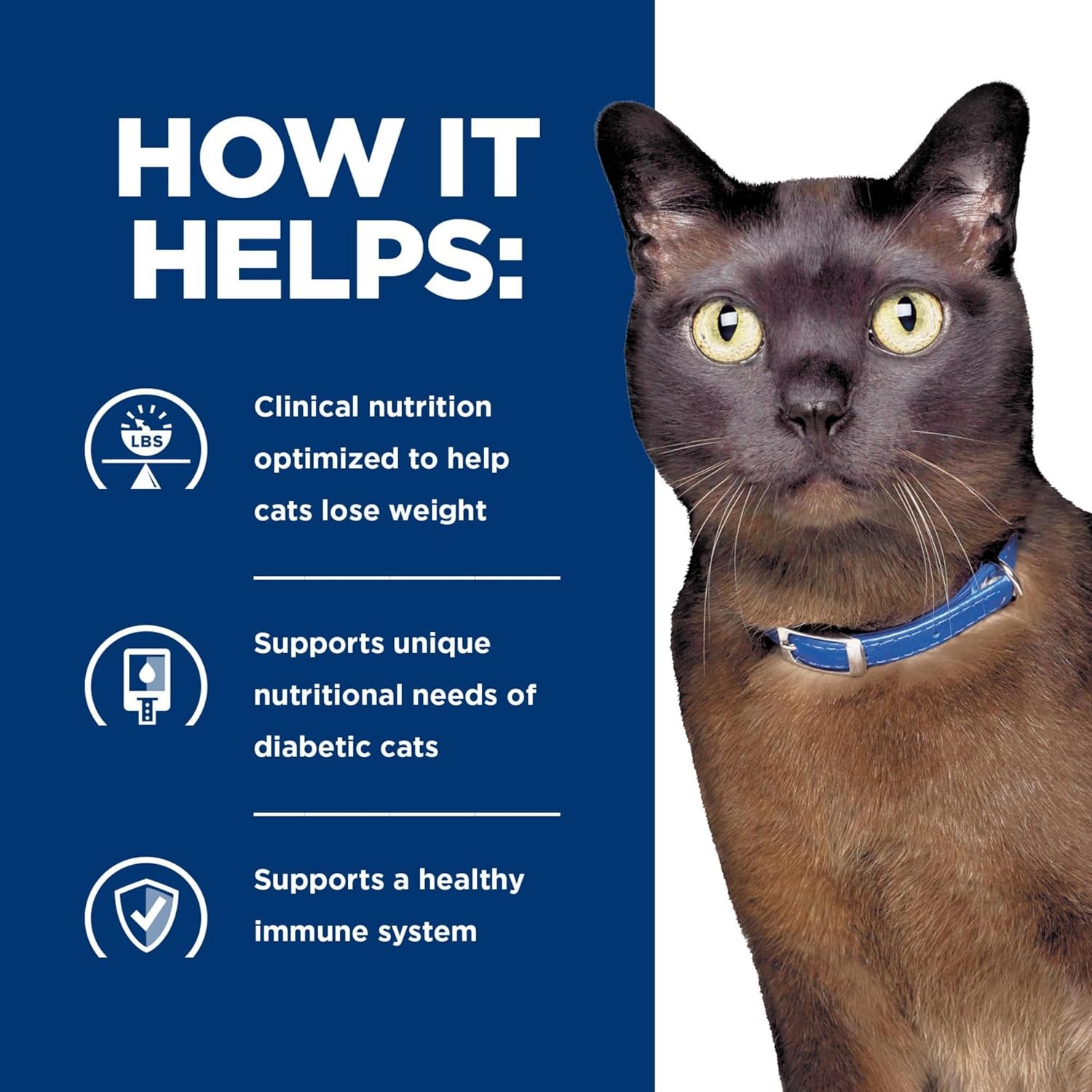 image:imageHills Prescription Diet md GlucoSupport Dry Cat Food Chicken 4 lb BagChicken