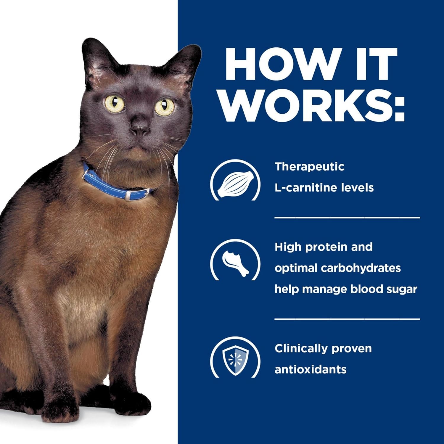 image:imageHills Prescription Diet md GlucoSupport Wet Cat Food Liver 55 oz Cans 24PackChicken Liver Stew