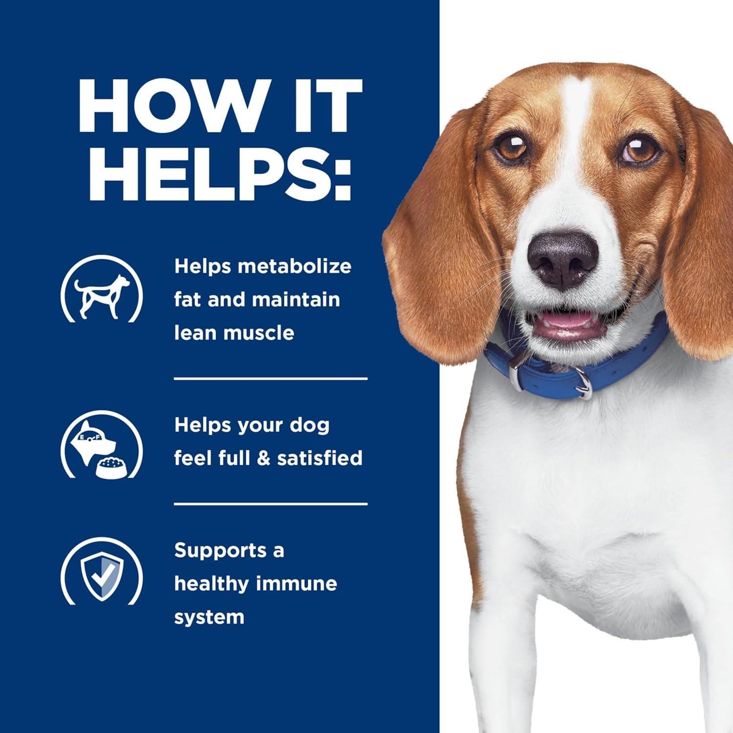 image:imageHills Prescription Diet rd Weight Reduction Dry Dog Food Chicken 176 lb BagChicken