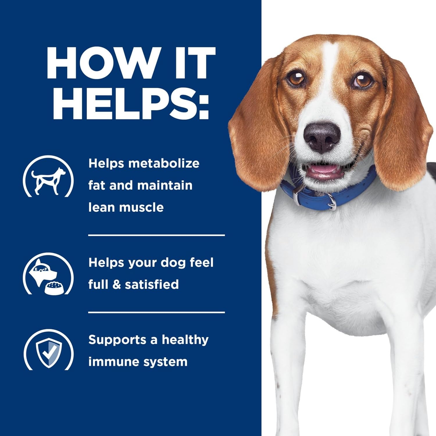 image:imageHills Prescription Diet rd Weight Reduction Wet Dog Food Chicken 123 oz Cans 12Pack