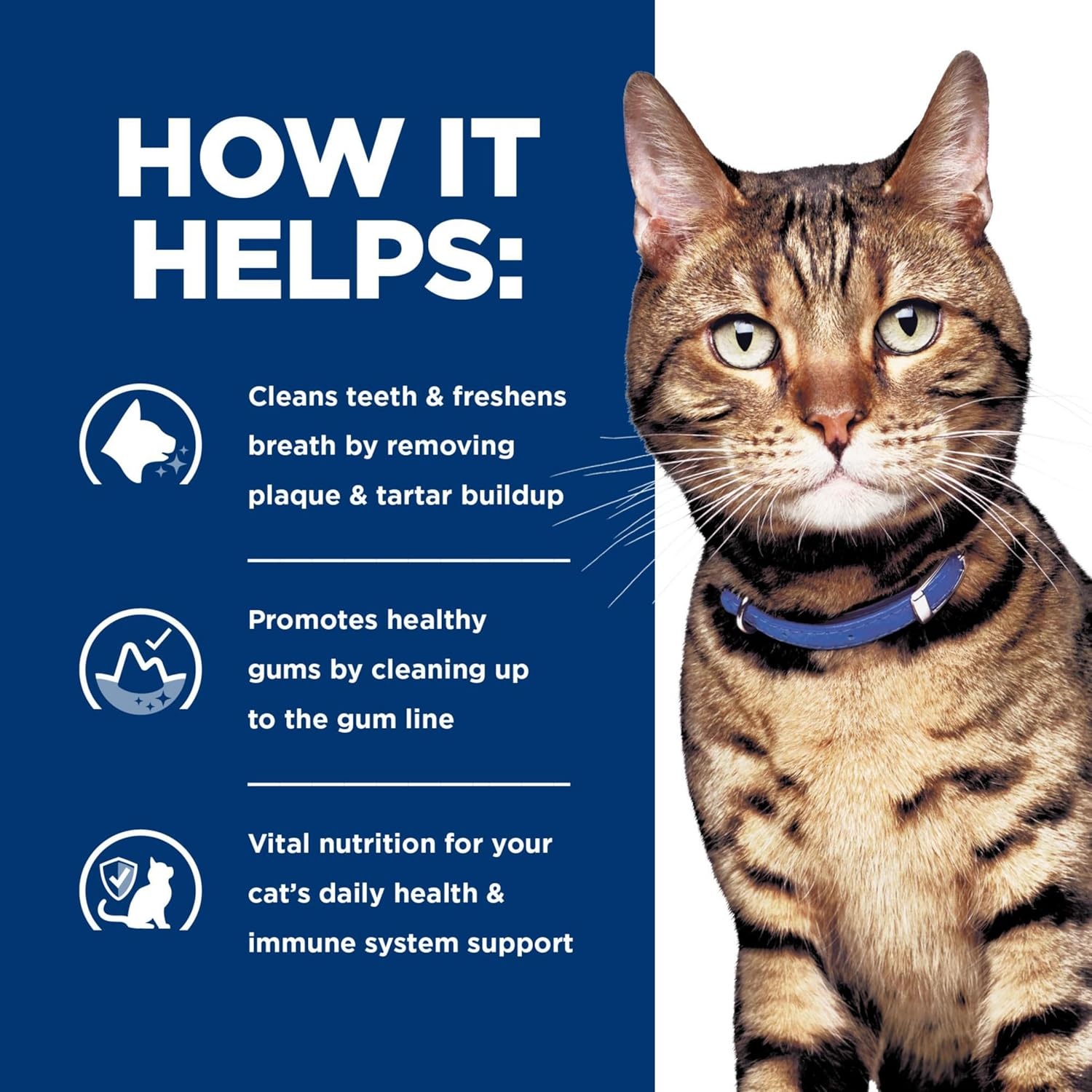 image:imageHills Prescription Diet td Dental Care Dry Cat Food Chicken 4 lb BagChicken