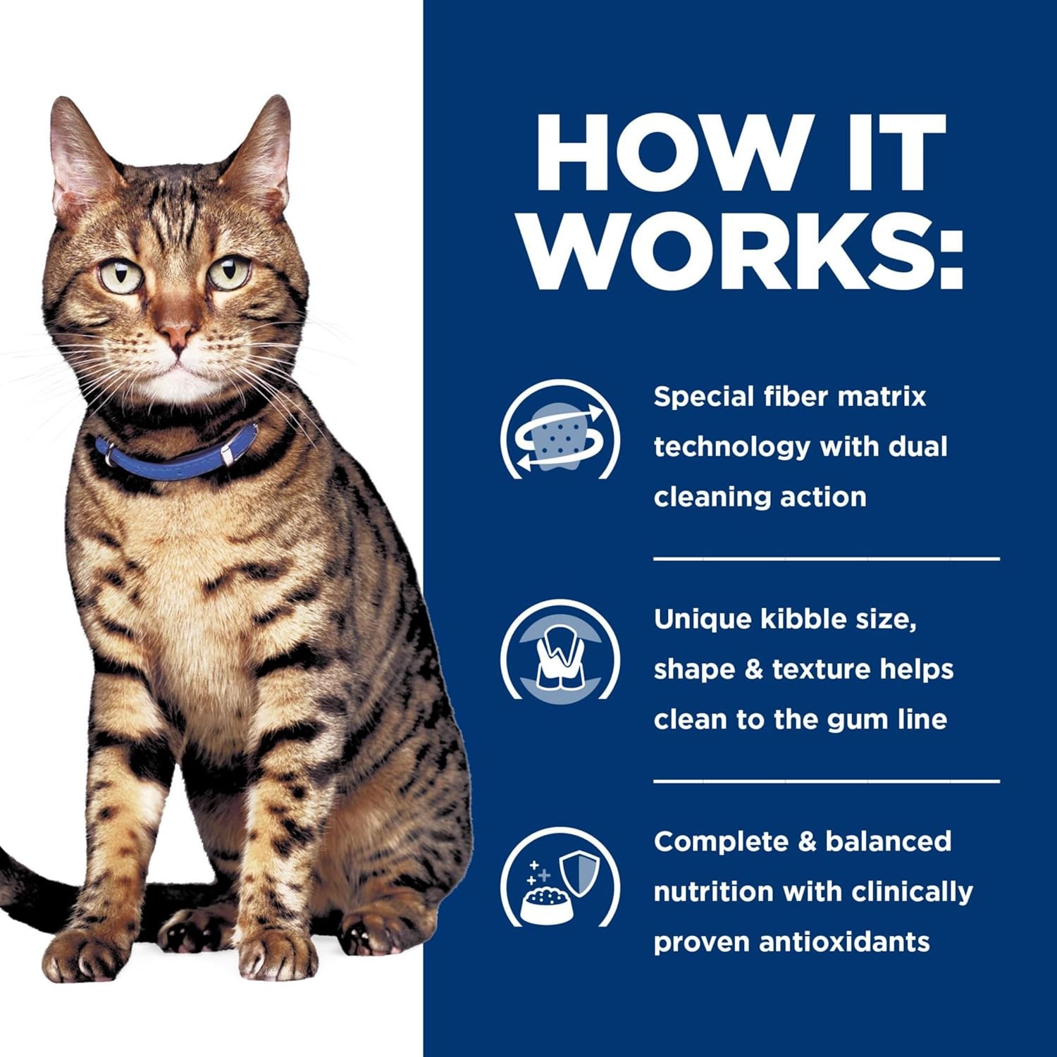 image:imageHills Prescription Diet td Dental Care Dry Cat Food Chicken 4 lb BagChicken