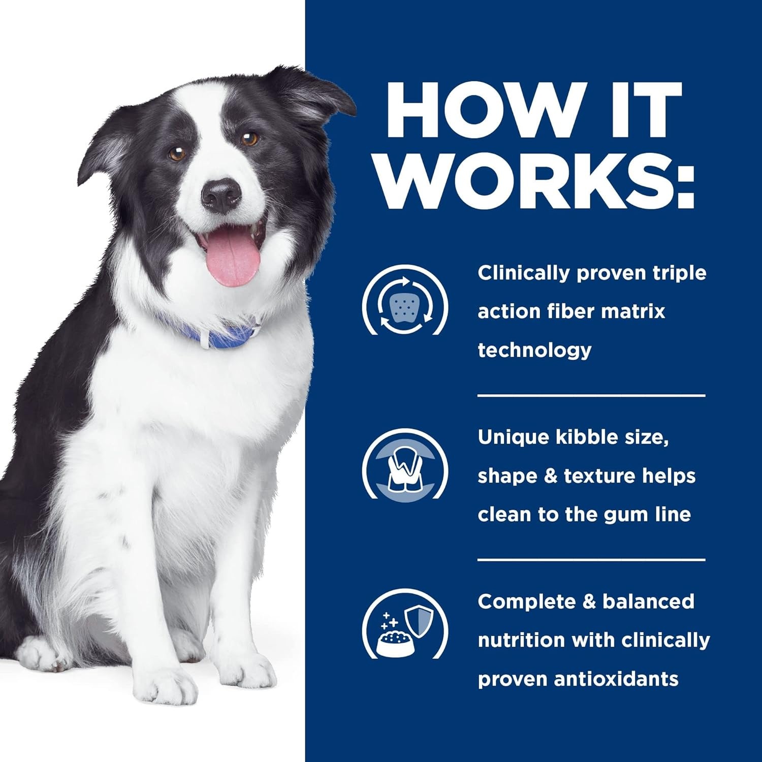 image:imageHills Prescription Diet td Dental Care Dry Dog Food Chicken 5 lb BagChicken Regular Bites