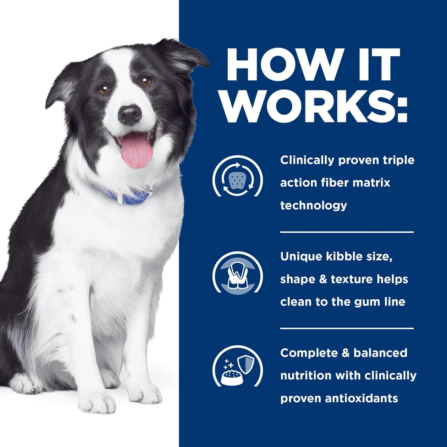 image:imageHills Prescription Diet td Dental Care Dry Dog Food Chicken 5 lb BagChicken Regular Bites
