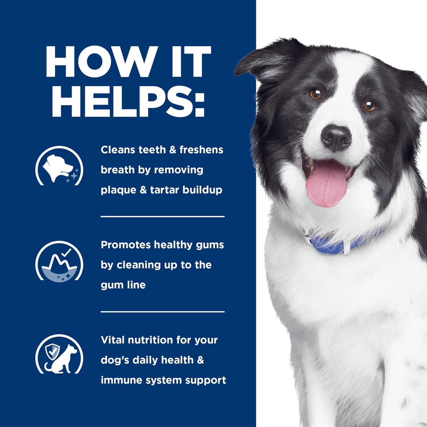image:imageHills Prescription Diet td Dental Care Dry Dog Food Chicken 5 lb BagChicken Regular Bites