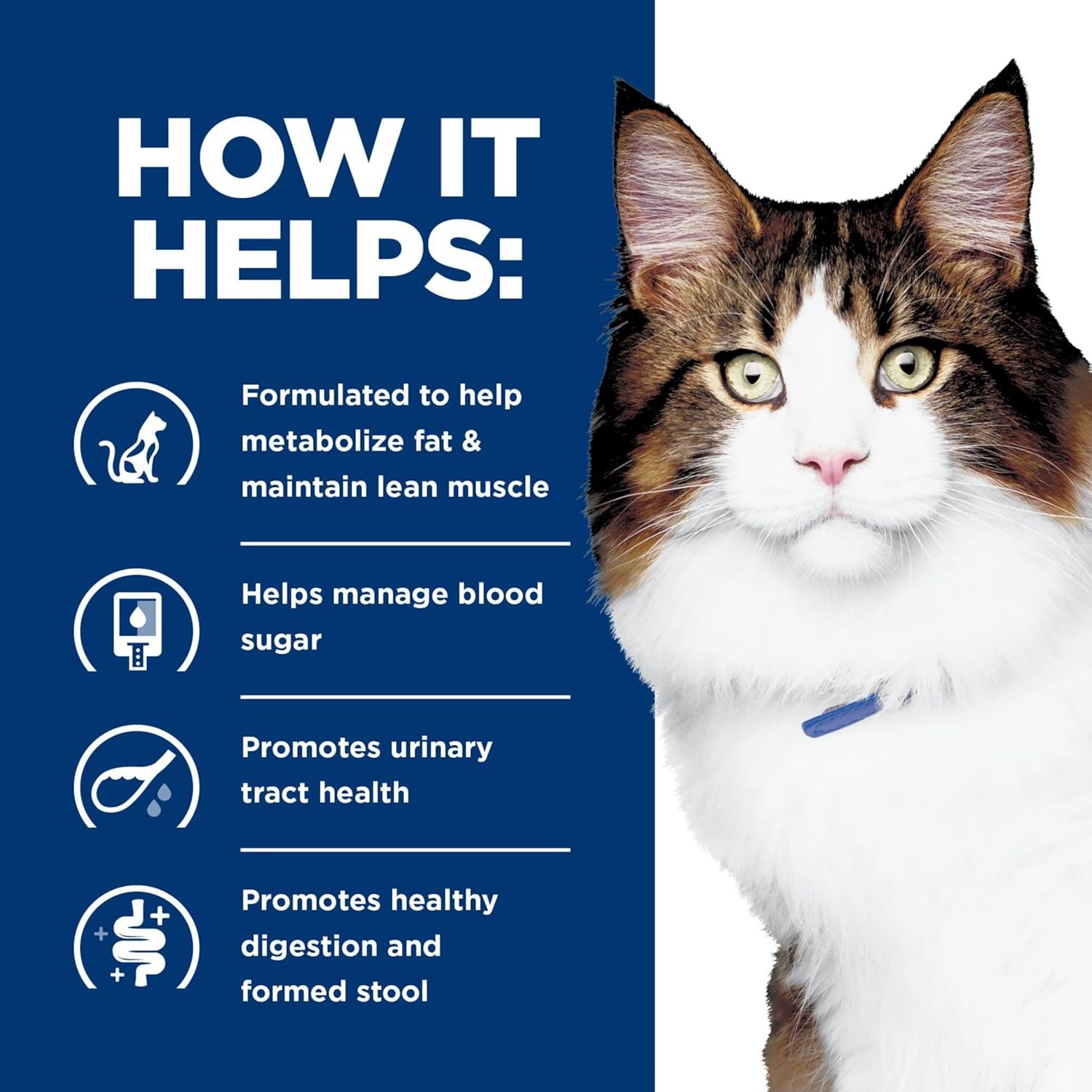 image:imageHills Prescription Diet wd MultiBenefit DigestiveWeightGlucoseUrinary Management Wet Cat Food Chicken 55 oz Cans 24Pack