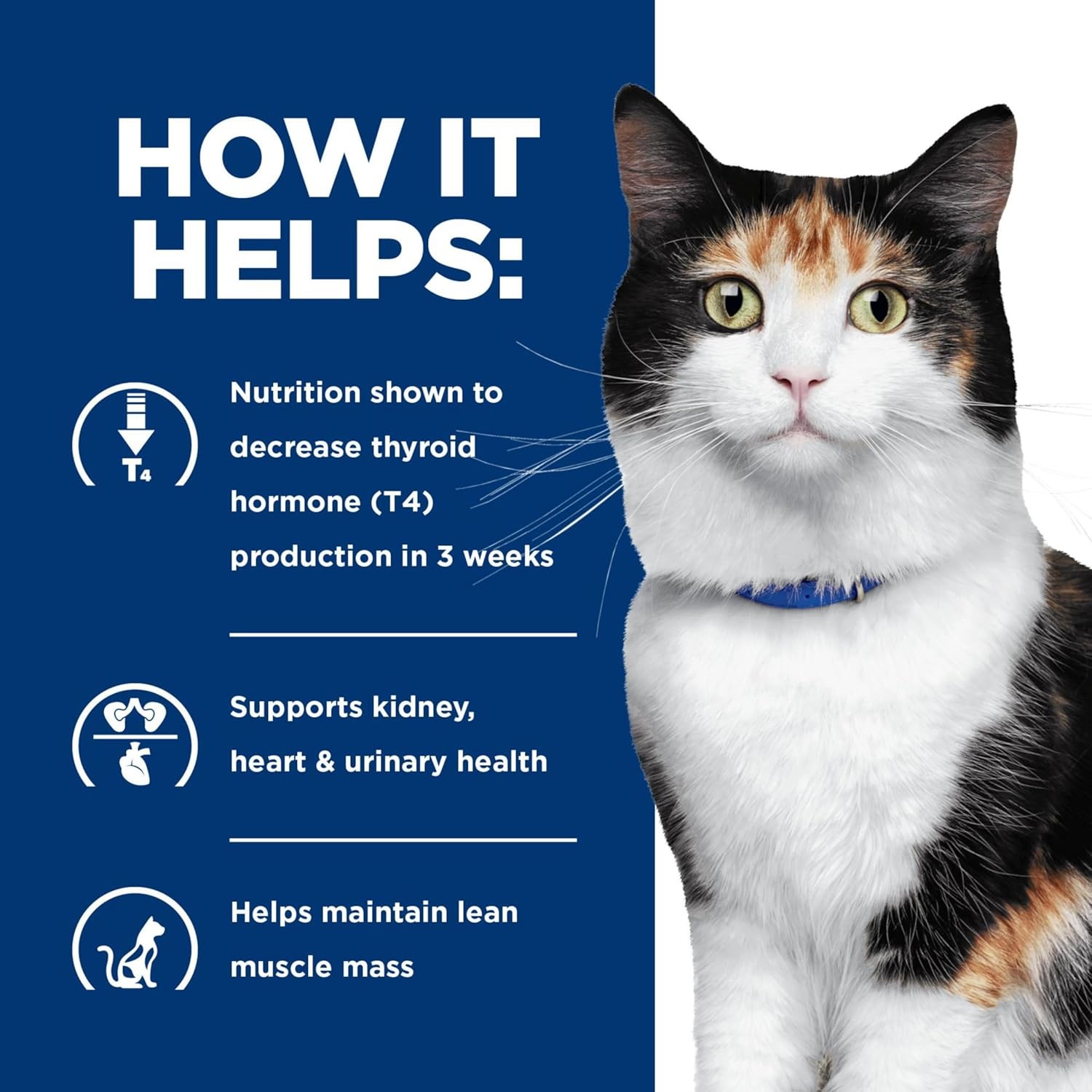 image:imageHills Prescription Diet yd Thyroid Care Wet Cat Food Chicken 55 oz Cans 24Pack