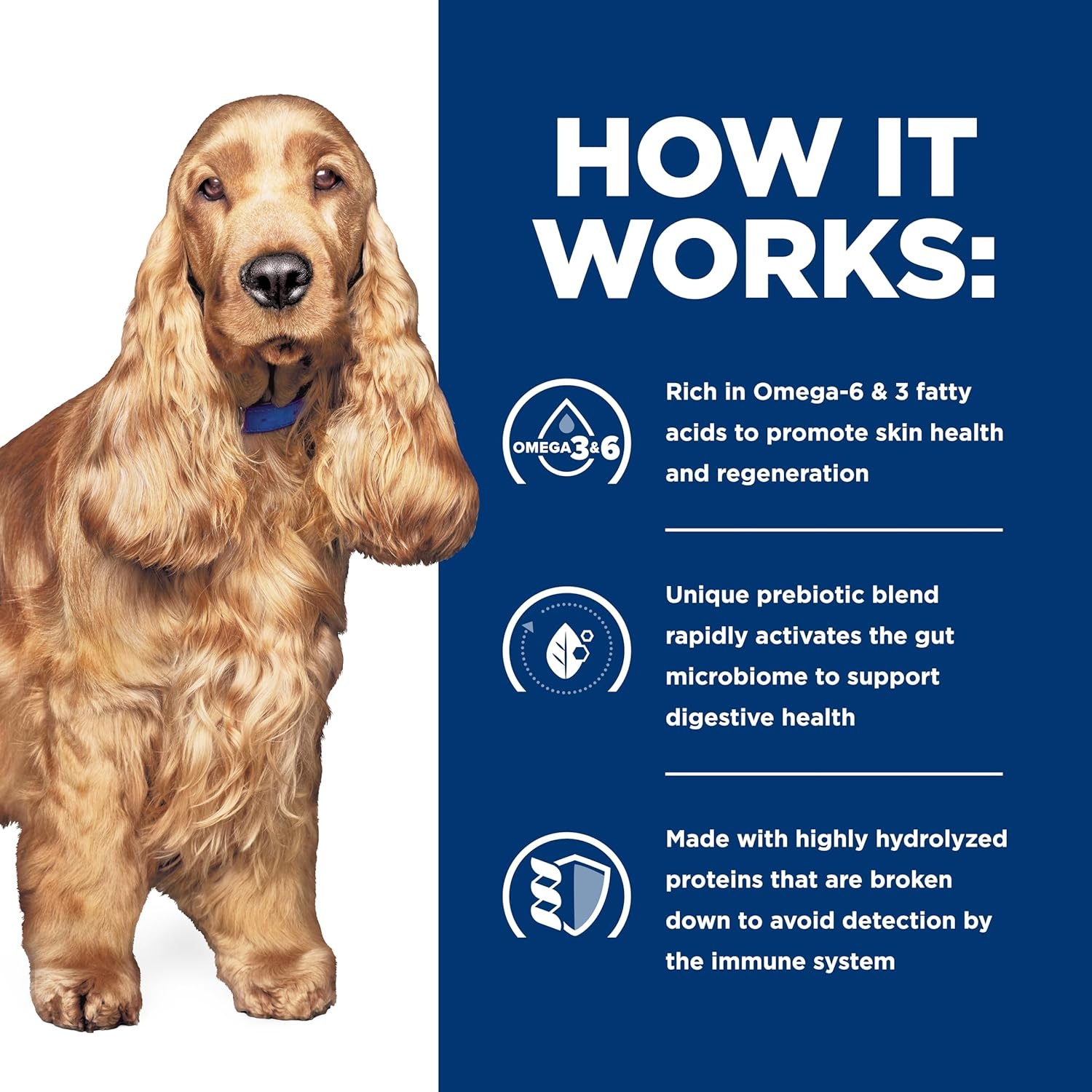 image:imageHills Prescription Diet zd SkinFood Sensitivities Hydrolyzed Wet Dog Food Veterinary Diet 13 oz Cans 12PackChicken