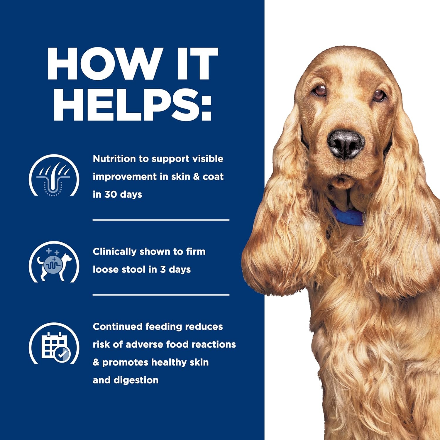 image:imageHills Prescription Diet zd SkinFood Sensitivities Hydrolyzed Wet Dog Food Veterinary Diet 13 oz Cans 12PackChicken